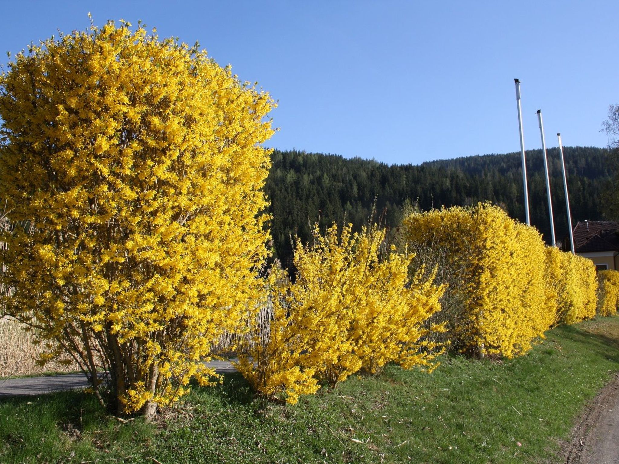 In Murau mit Privatem Pool-Image-tags.info