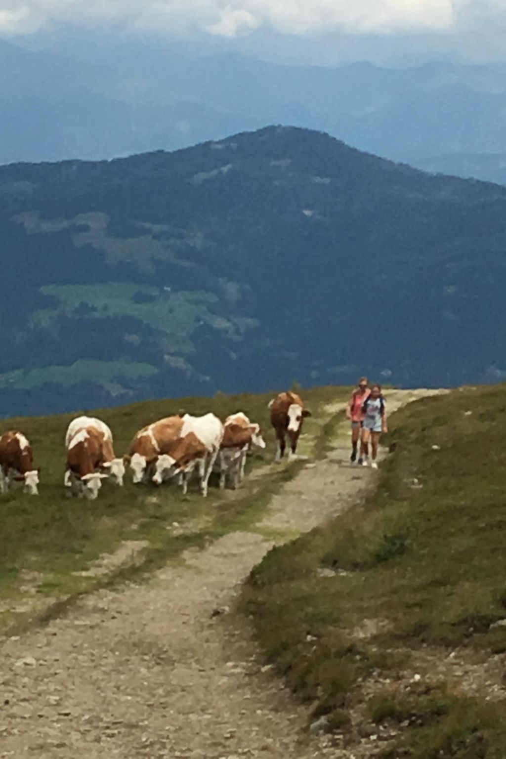 In Murau mit Privatem Pool-Image-tags.info