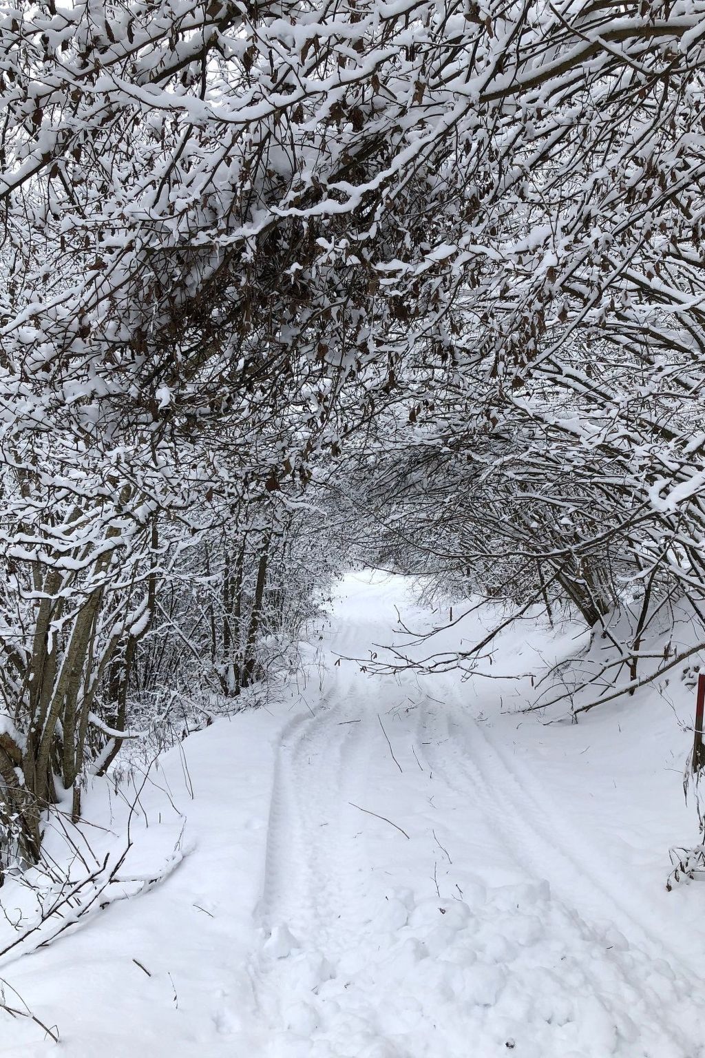 In Murau mit Privatem Pool-Image-tags.info