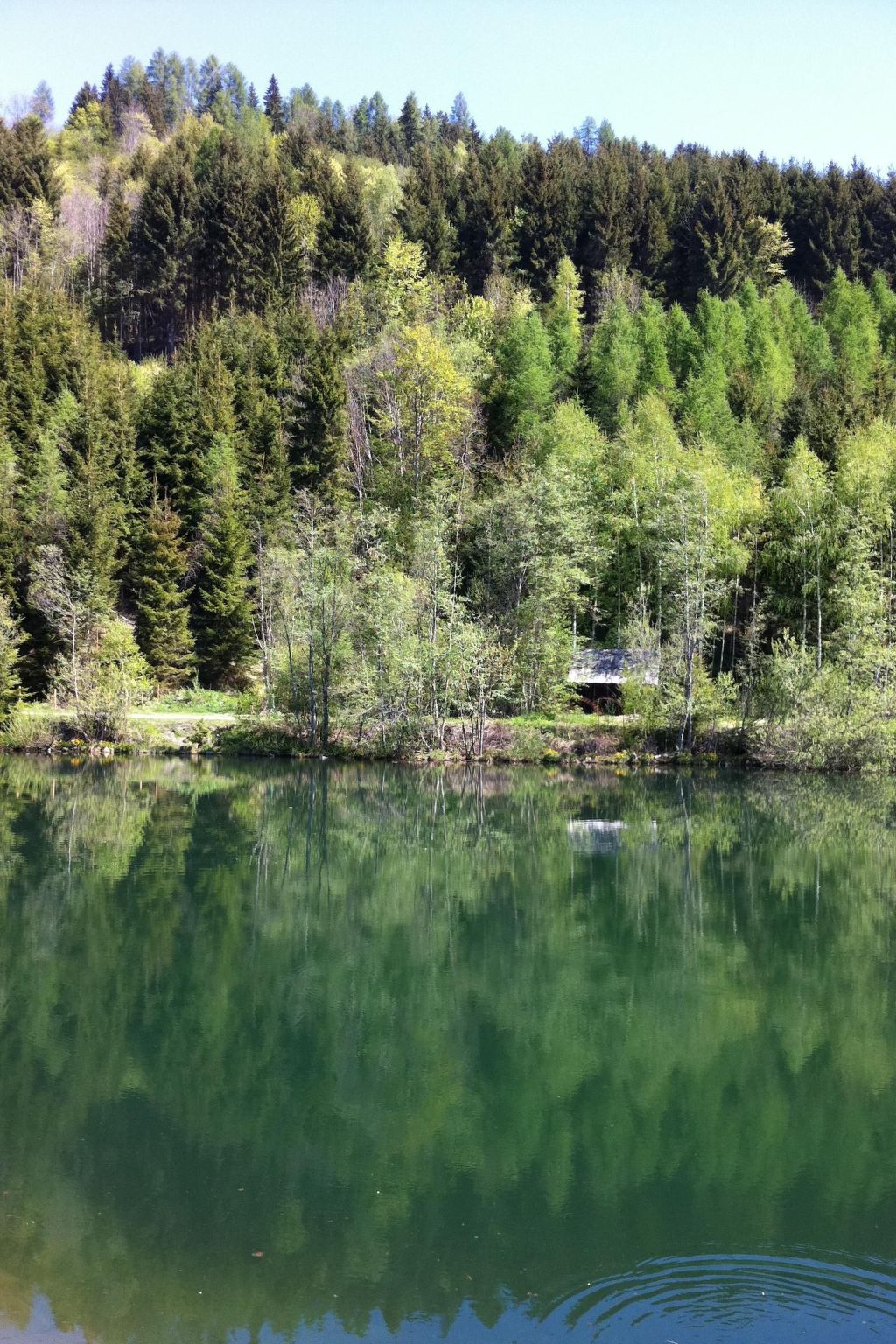 Für 8 Personen ca. 80 m&sup2; in Sankt Lorenzen ob Murau, Steiermark (Obersteie-Image-tags.info