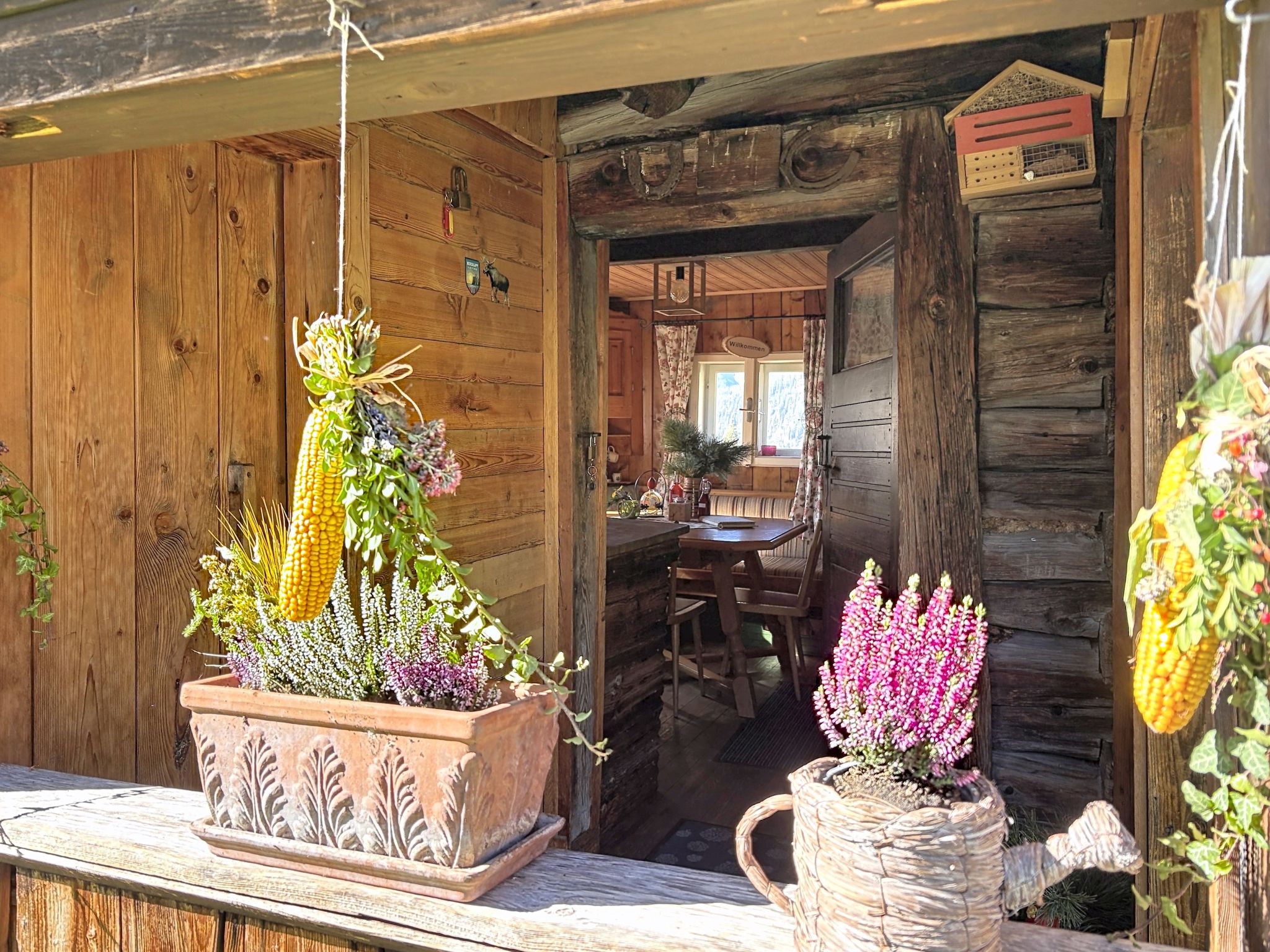 Schneehitzalmhütte - Draußen