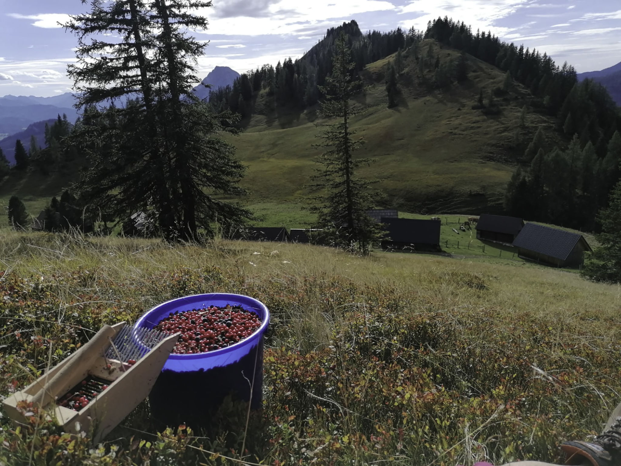 Schneehitzalmhütte - Drinnen