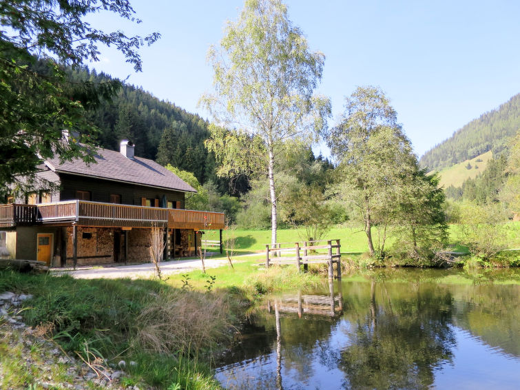 Vakantiehuis met open haard in Stein an der Enns in Stein an der Enns