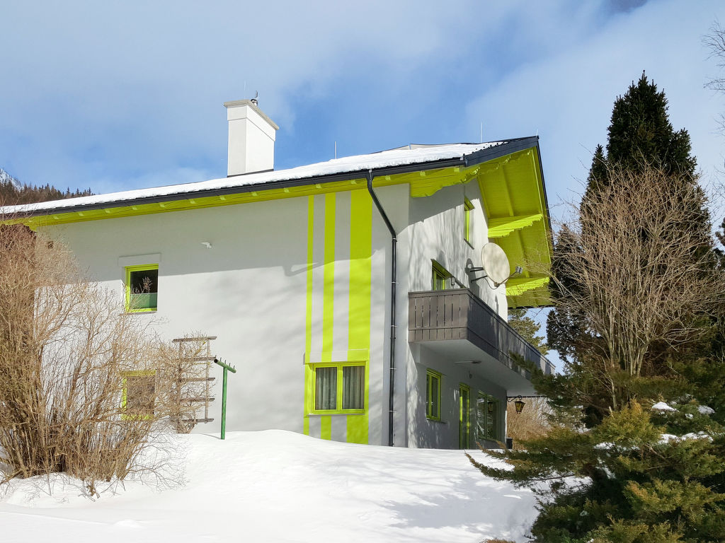 Ferienhaus Viola (OBL130) Ferienhaus in Österreich