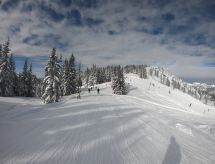 Luxe bergchalet in Pruggern direct aan de skipiste met sauna & whirlpool - thumbnail 4