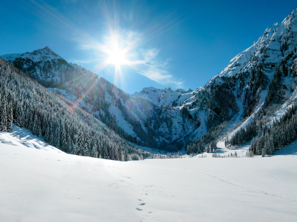 Bild 19