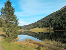 Vakantiehuis Premium mit 5 Schlafzimmern, Sauna &Pool