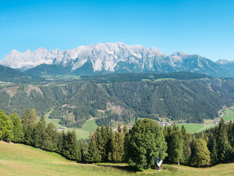Photo of Smaragd