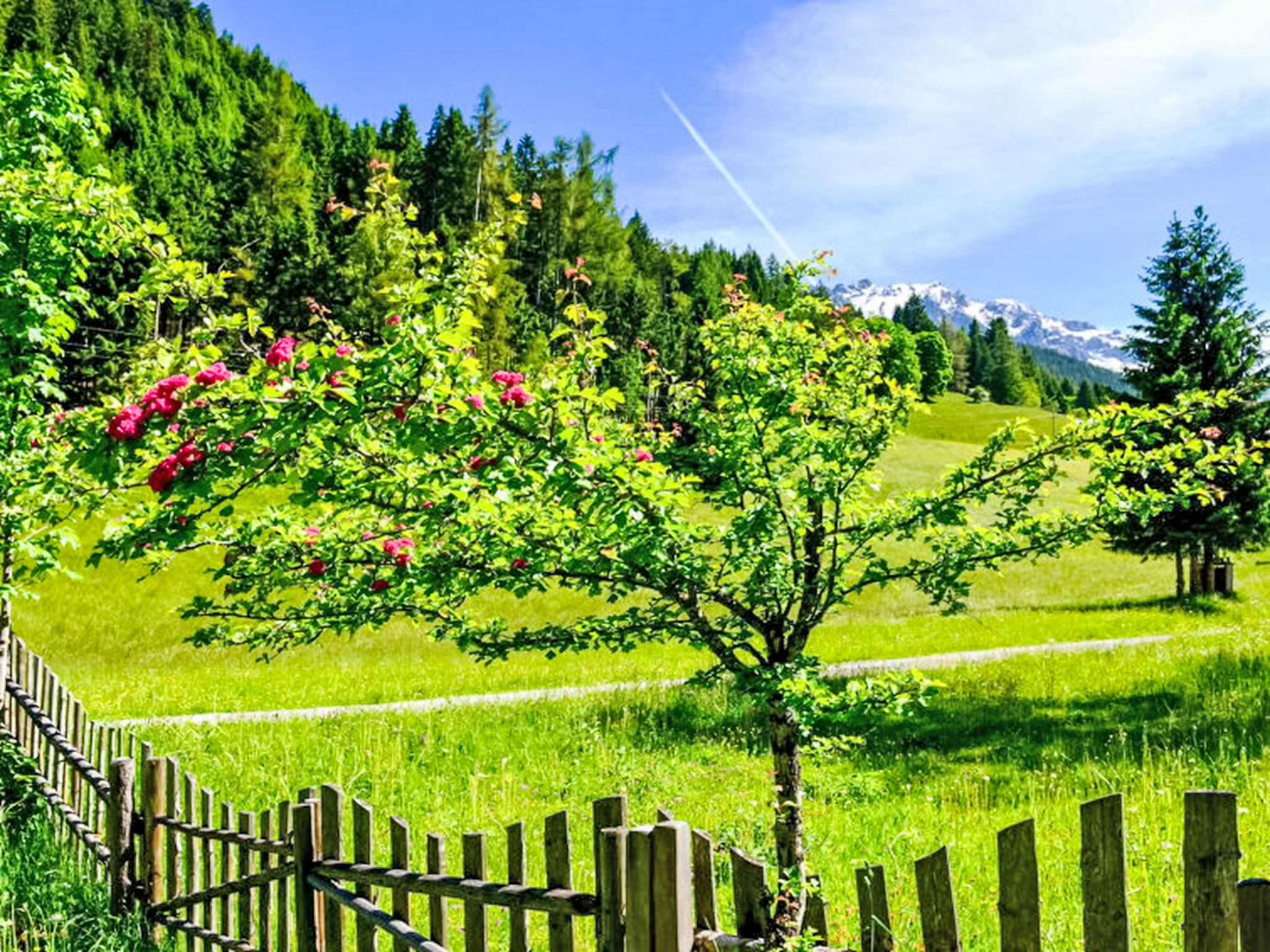 Photo of Knaushäusl