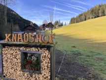 Ruim vakantiehuis voor 11 personen bij Ramsau am Dachstein met tuin en sauna - thumbnail 2