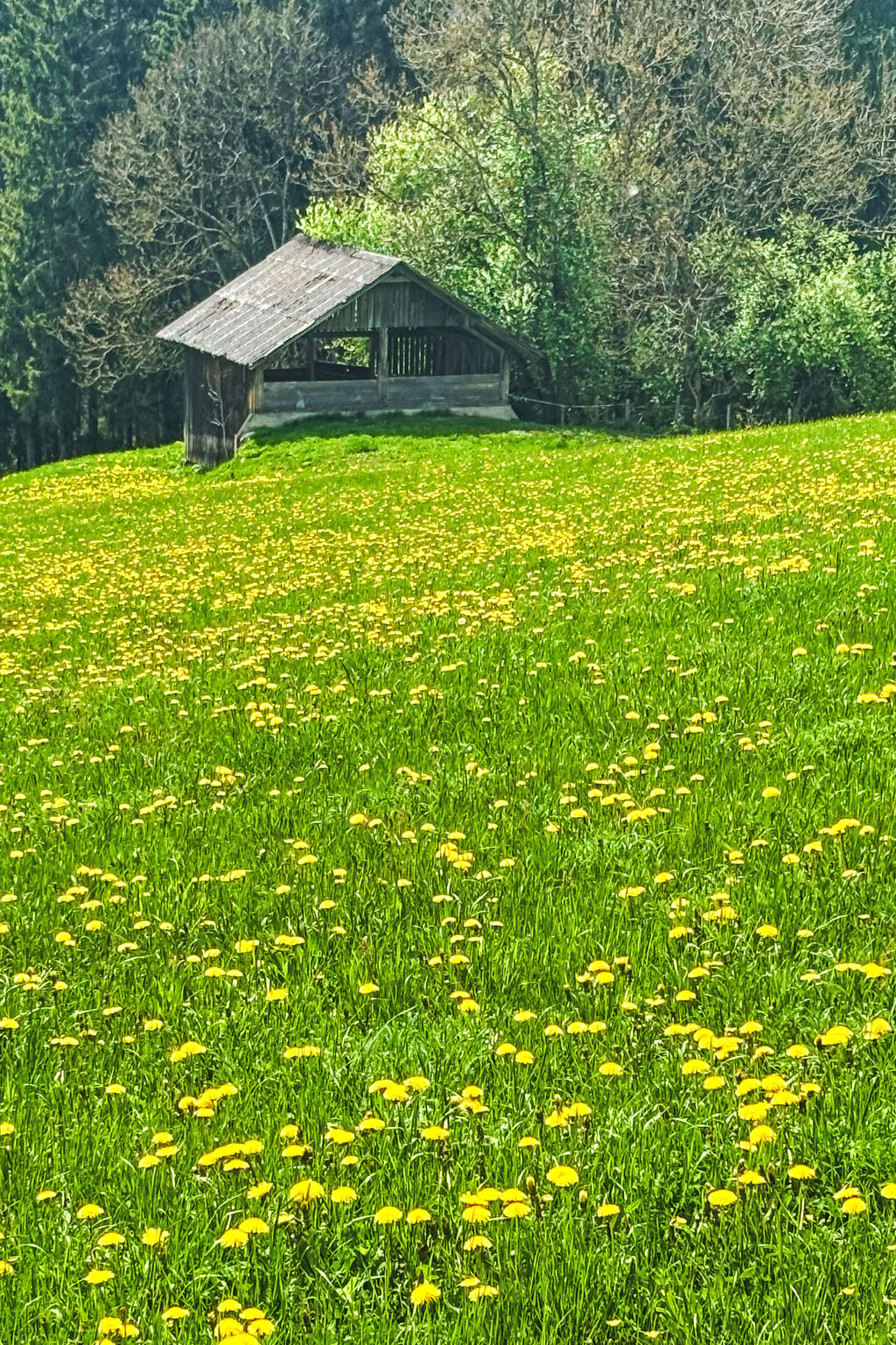 Photo of Salzmannhof Wohnung 3