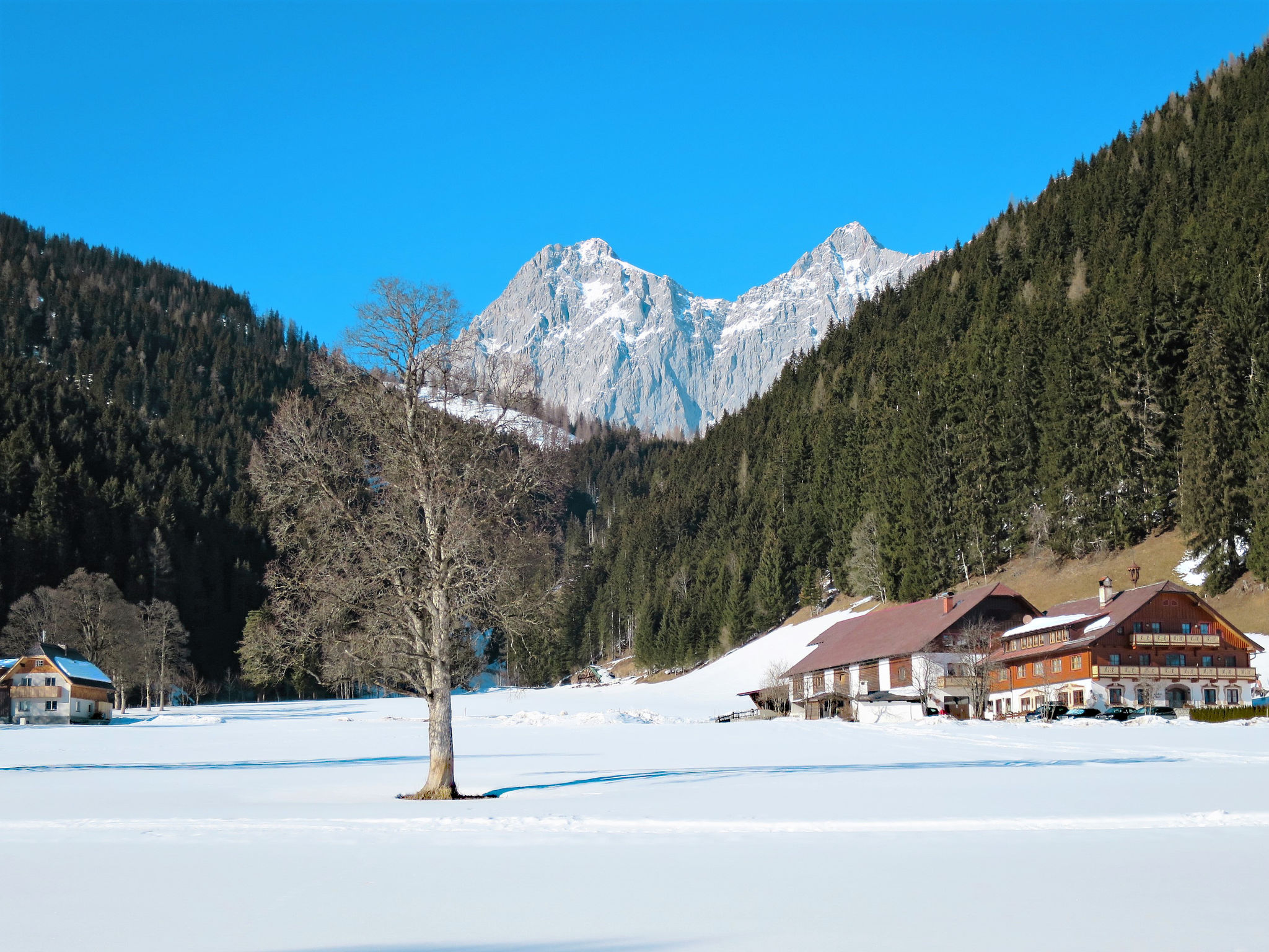 Photo of Salzmannhof Wohnung 3