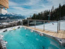 Chalet Wellnes mit Swim Spa