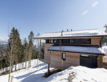 Superior chalet #13 met privésauna en sprudelbad aan de piste in Pichl - thumbnail 6