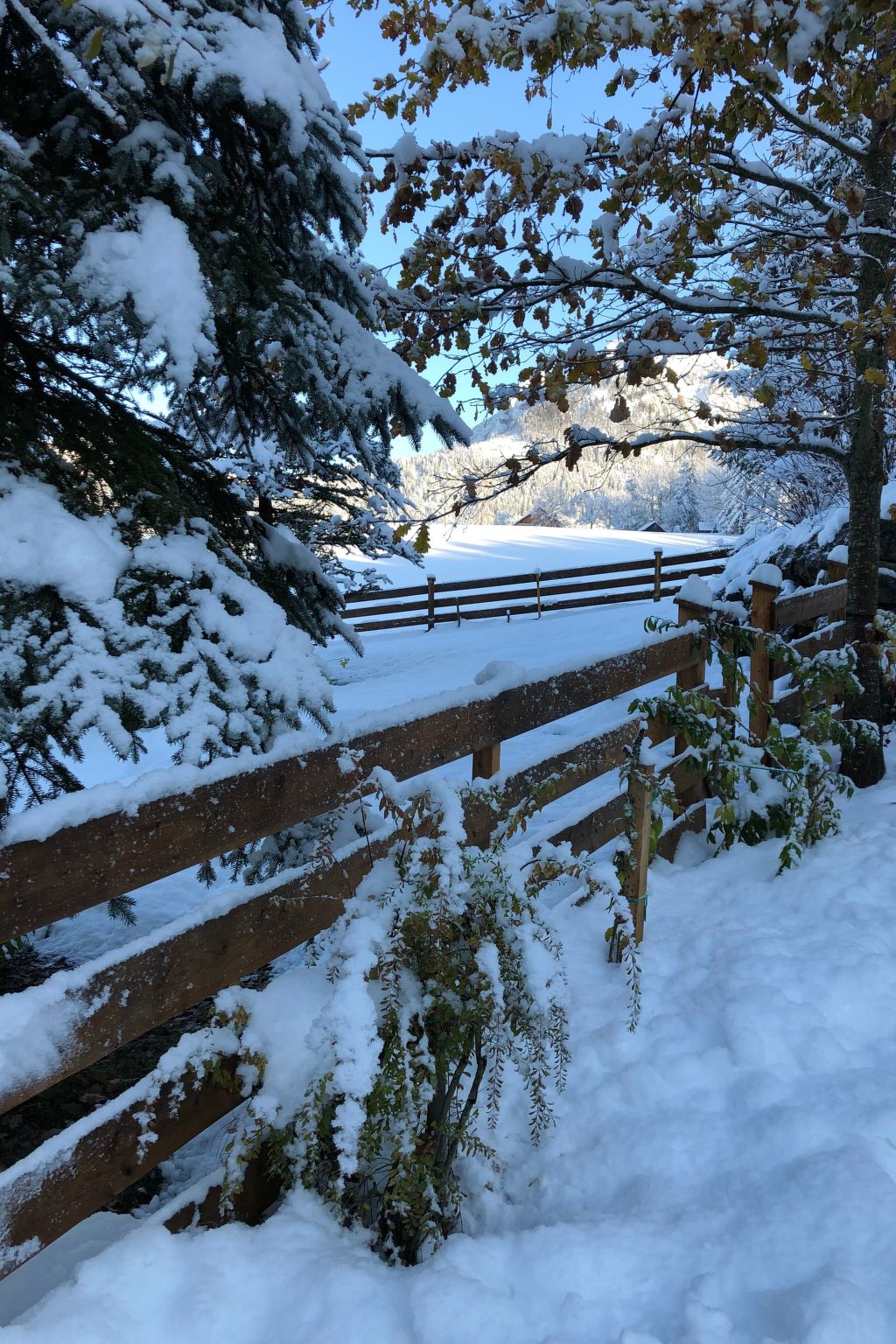 Tolle Wohnung in Bad Aussee mit Garten und Grill und Bergblick-Image-tags.info