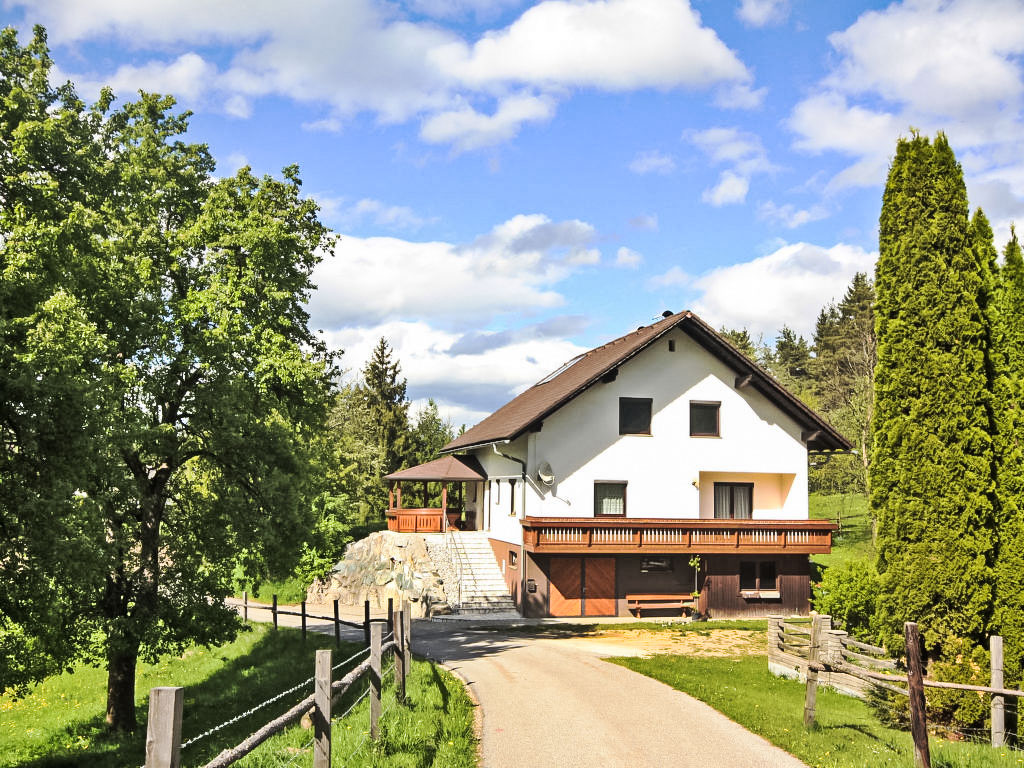 Ferienhaus Berg Ferienhaus in Österreich