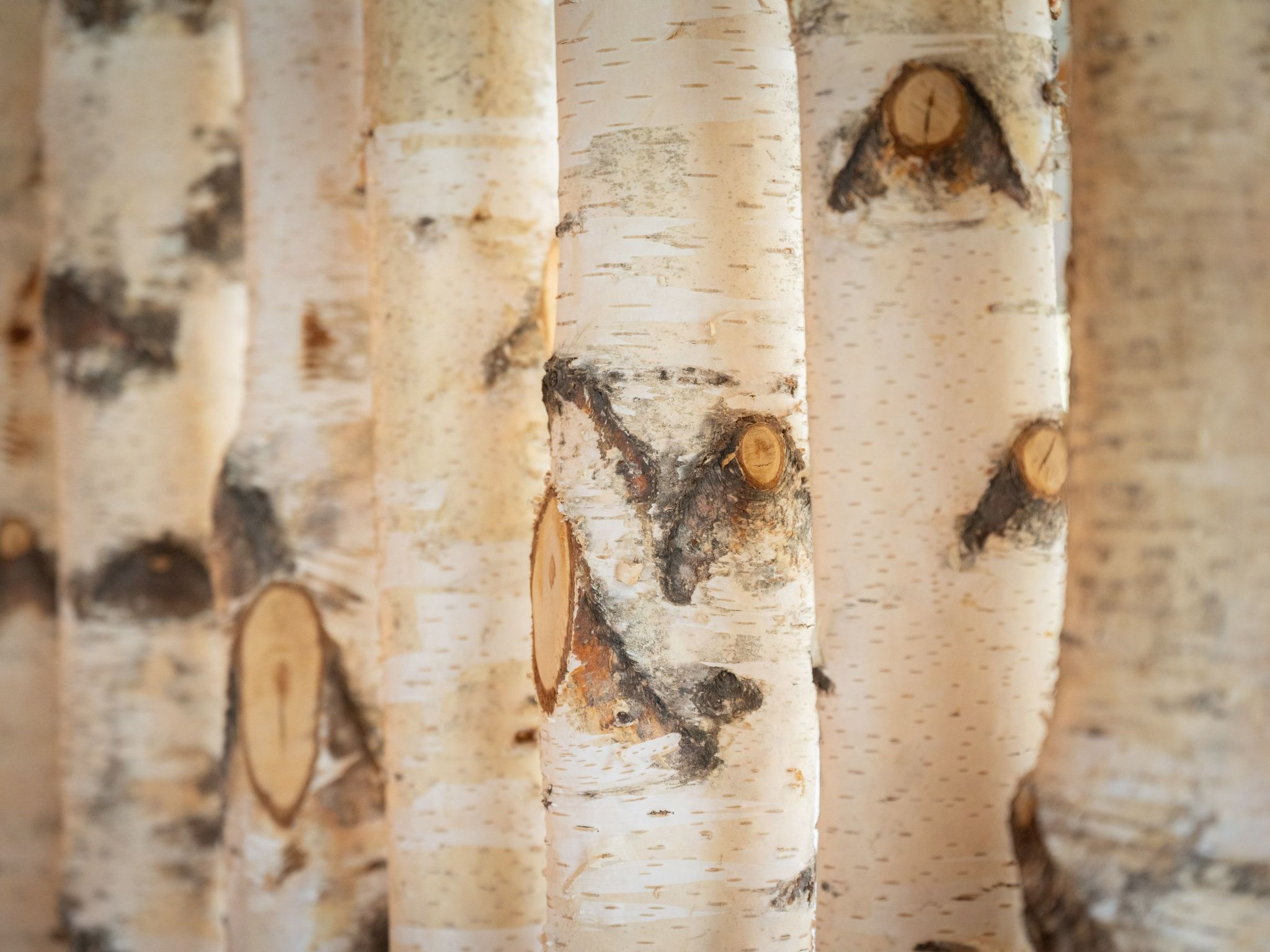 Landleben in Feistritz Ob Bleiburg-Inside