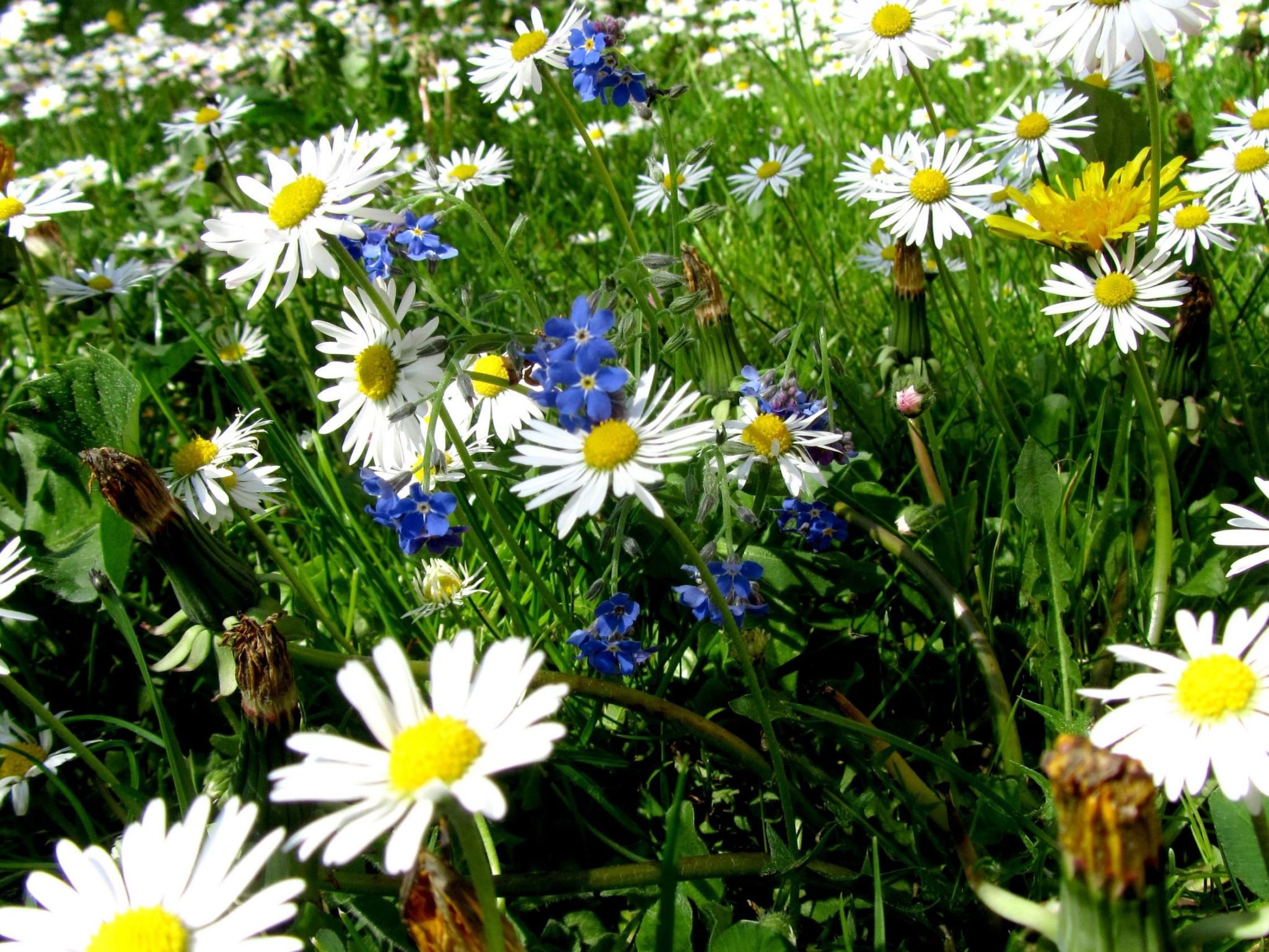 Haus Melita in Feistritz Ob Bleiburg-Inside