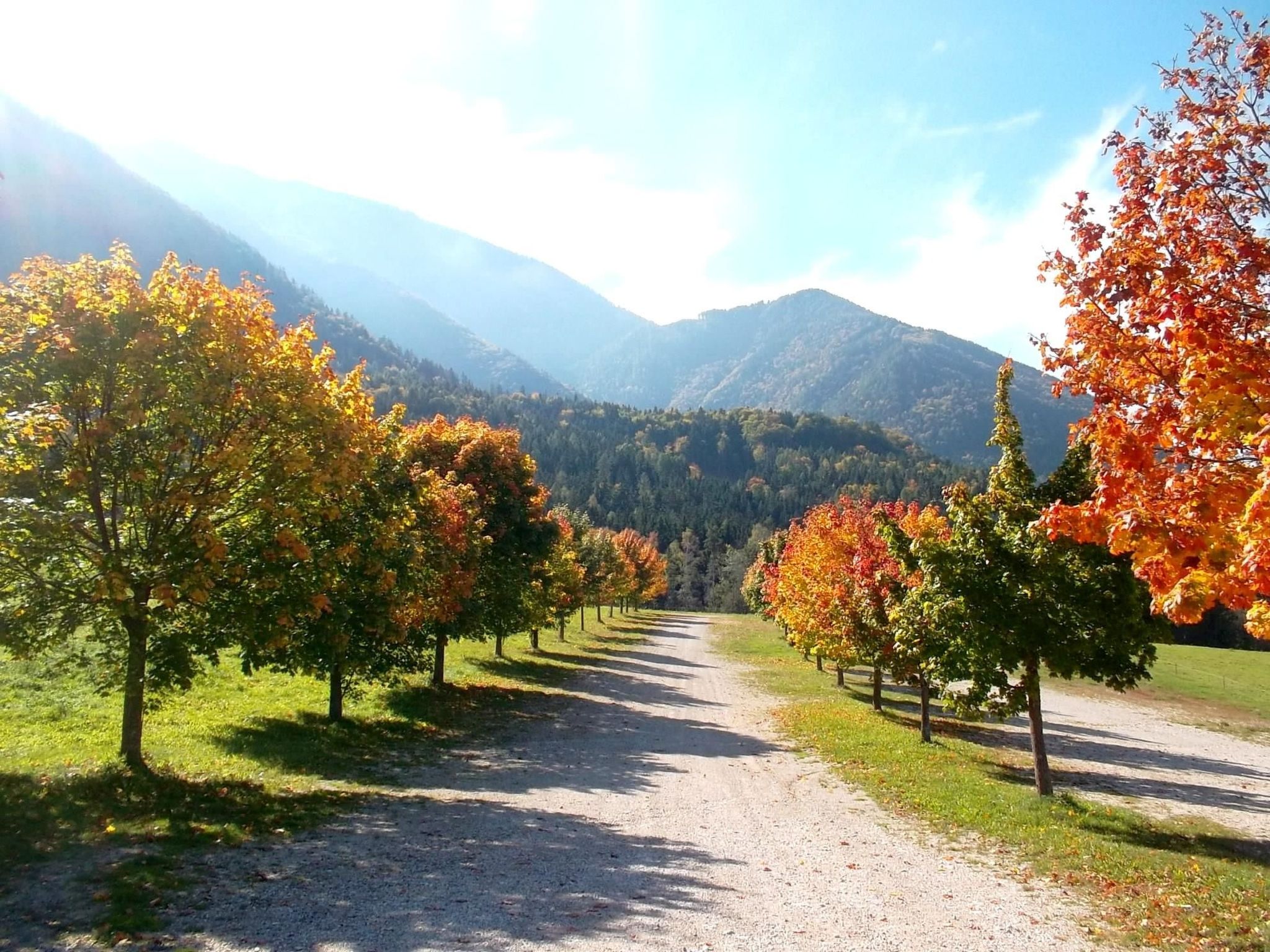 Haus Melita in Feistritz Ob Bleiburg-Inside
