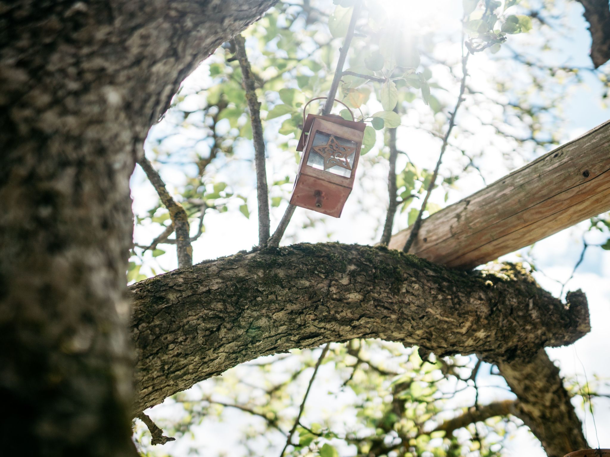 Gemütliches Ferienhaus in Feistritz Ob Bleiburg-Inside