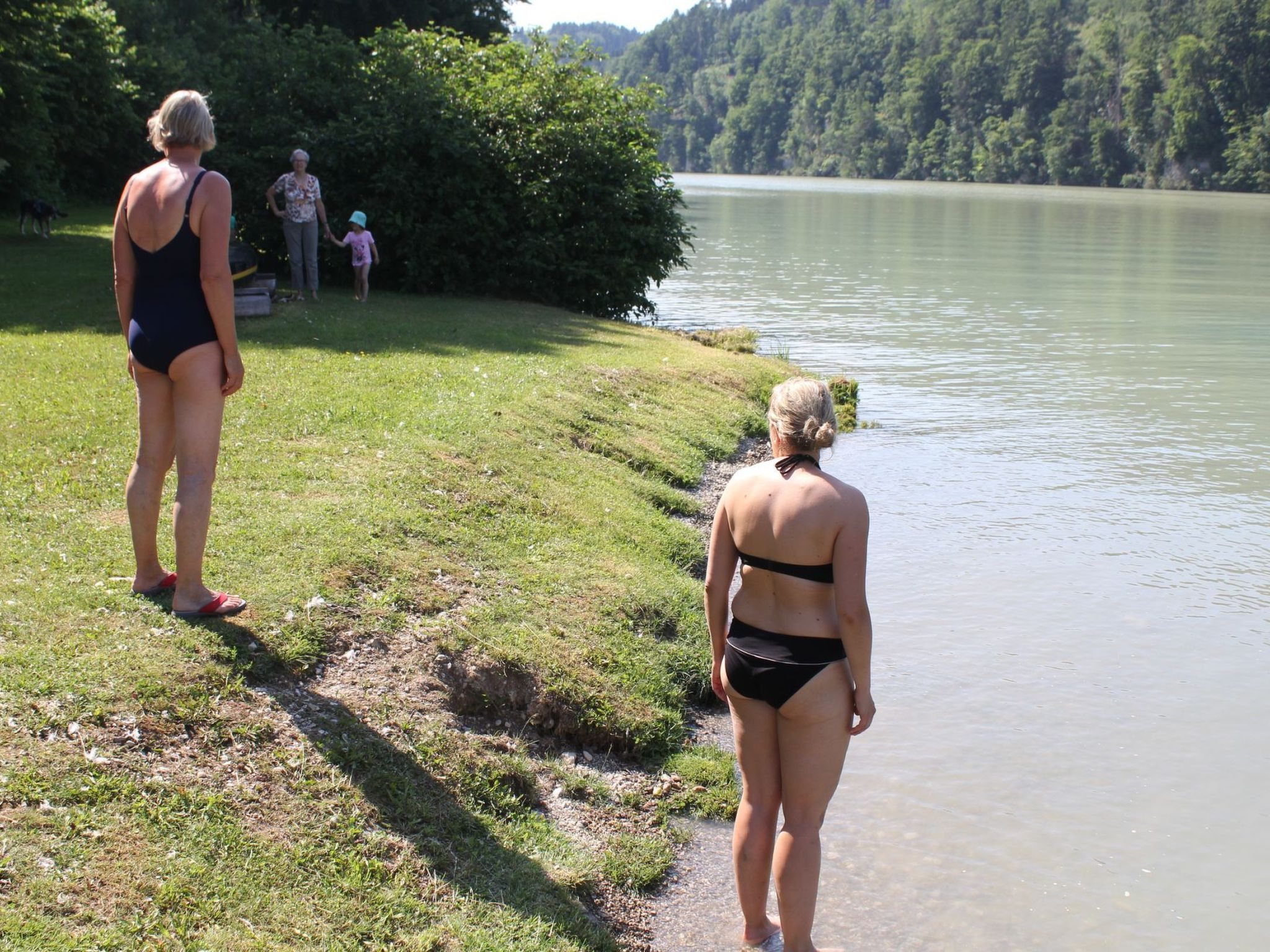 FeWo Eiche-Image-tags.info