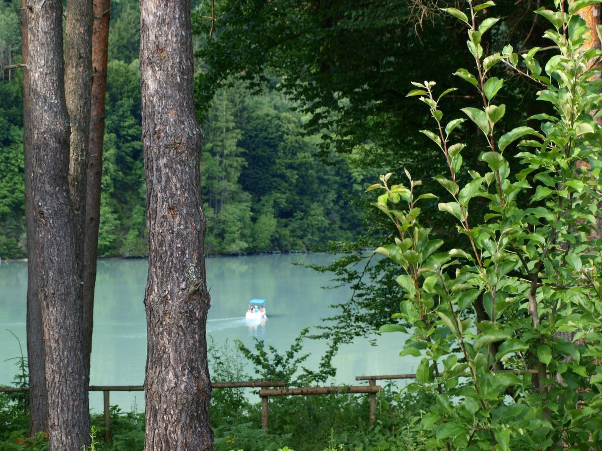 Claudia-Image-tags.info