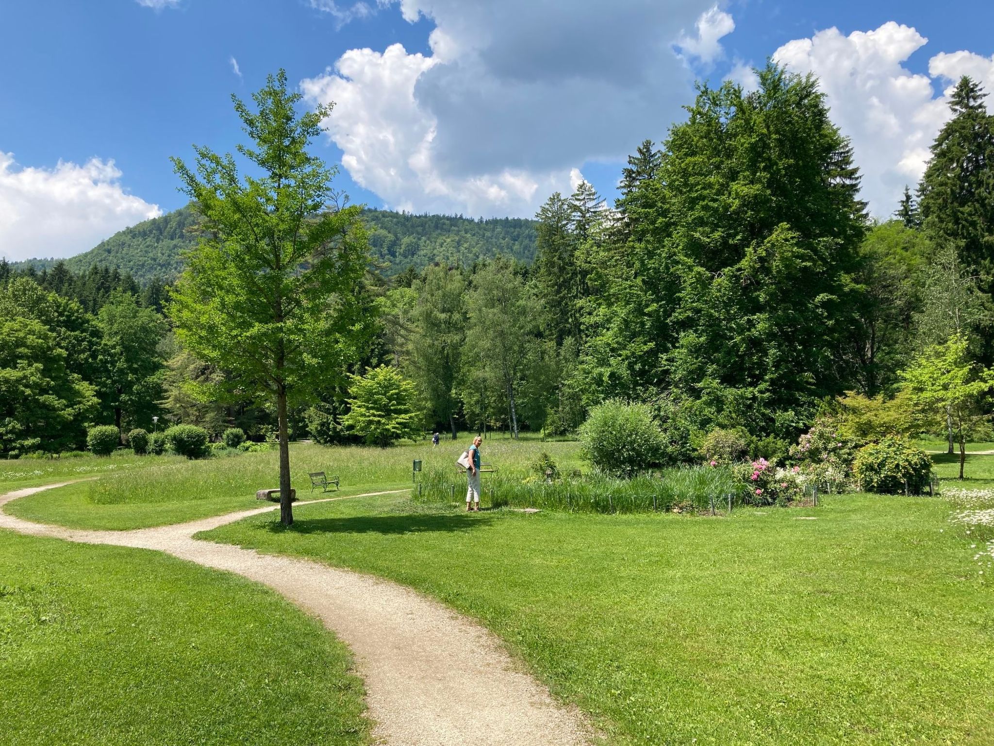 Claudia-Image-tags.info