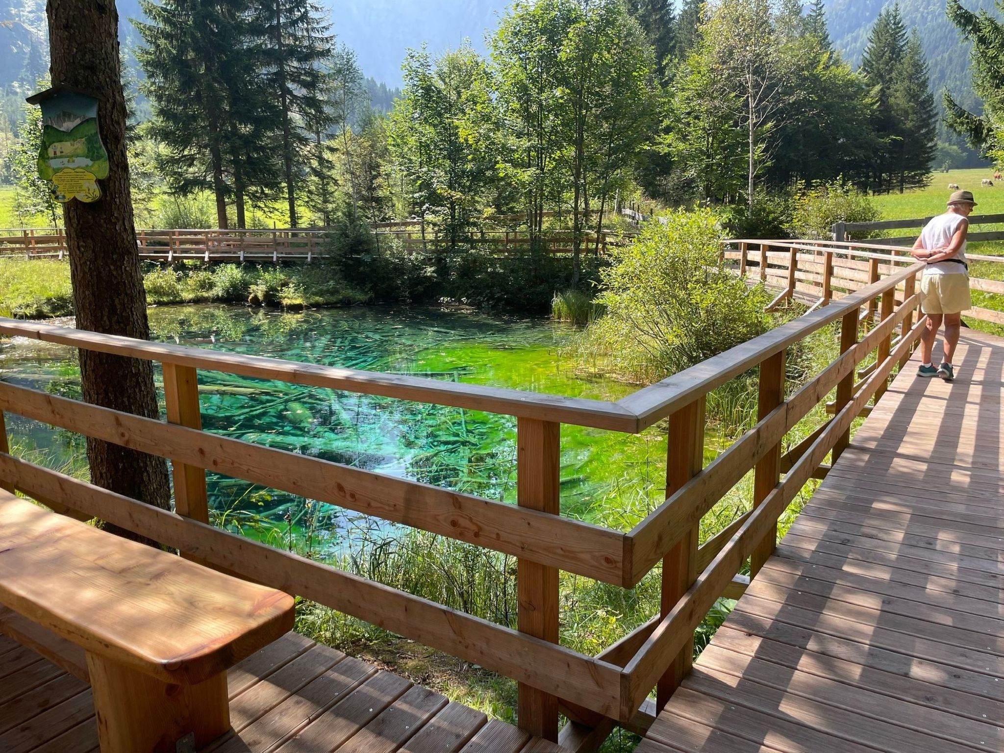 Claudia-Image-tags.info