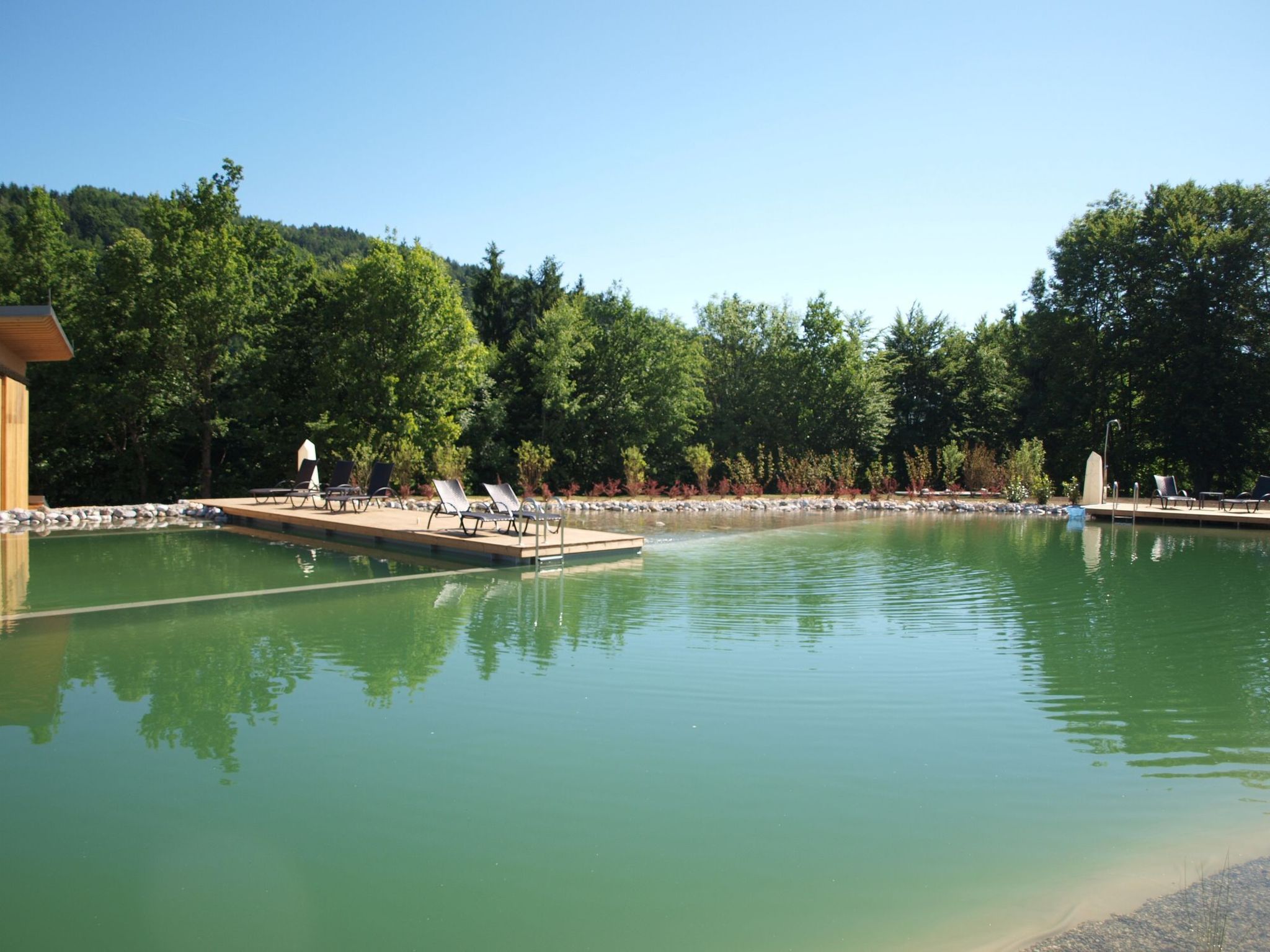 Erle in Feistritz im Rosental-Image-tags.info