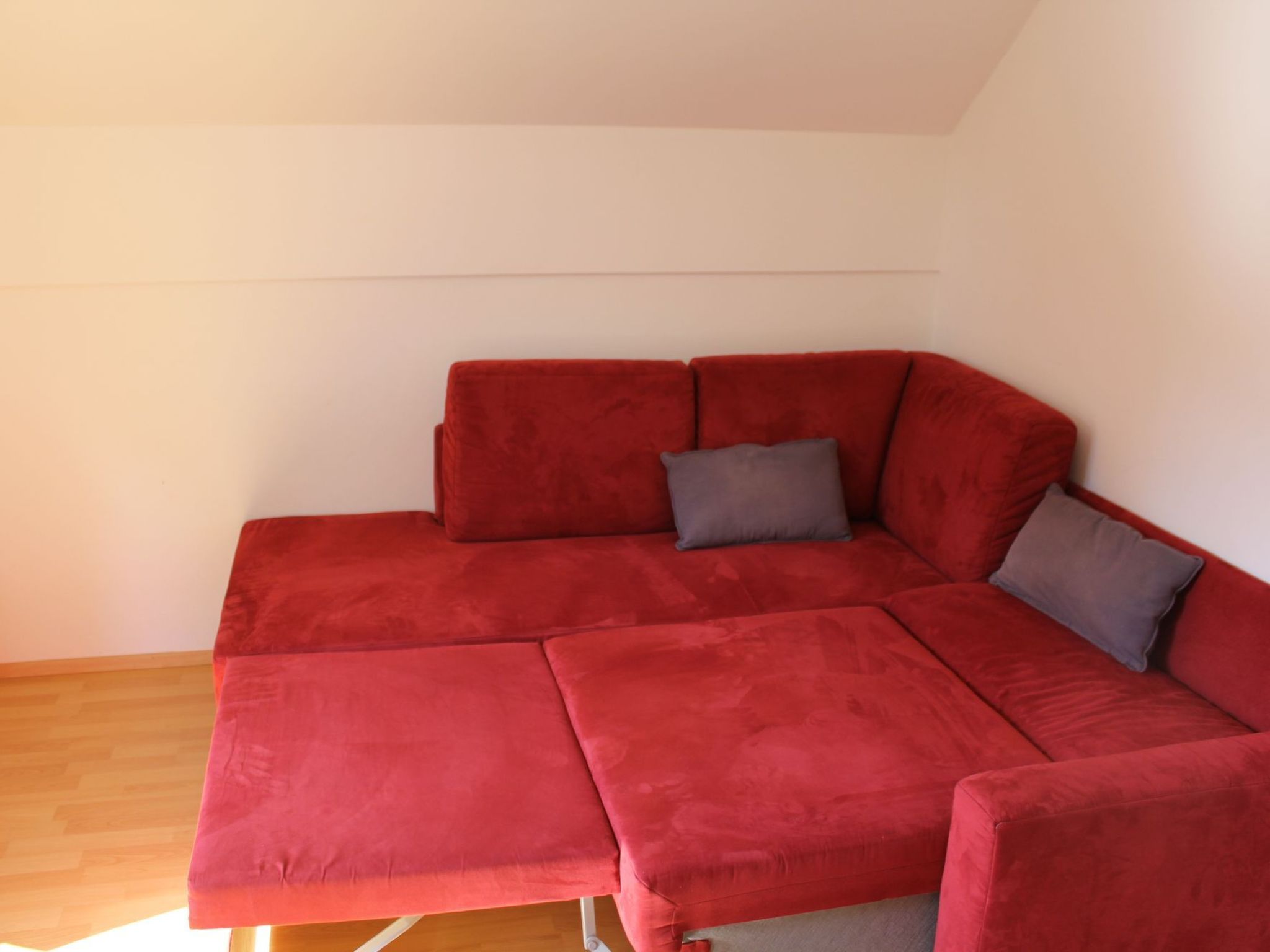 Erle in Feistritz im Rosental-Image-tags.info