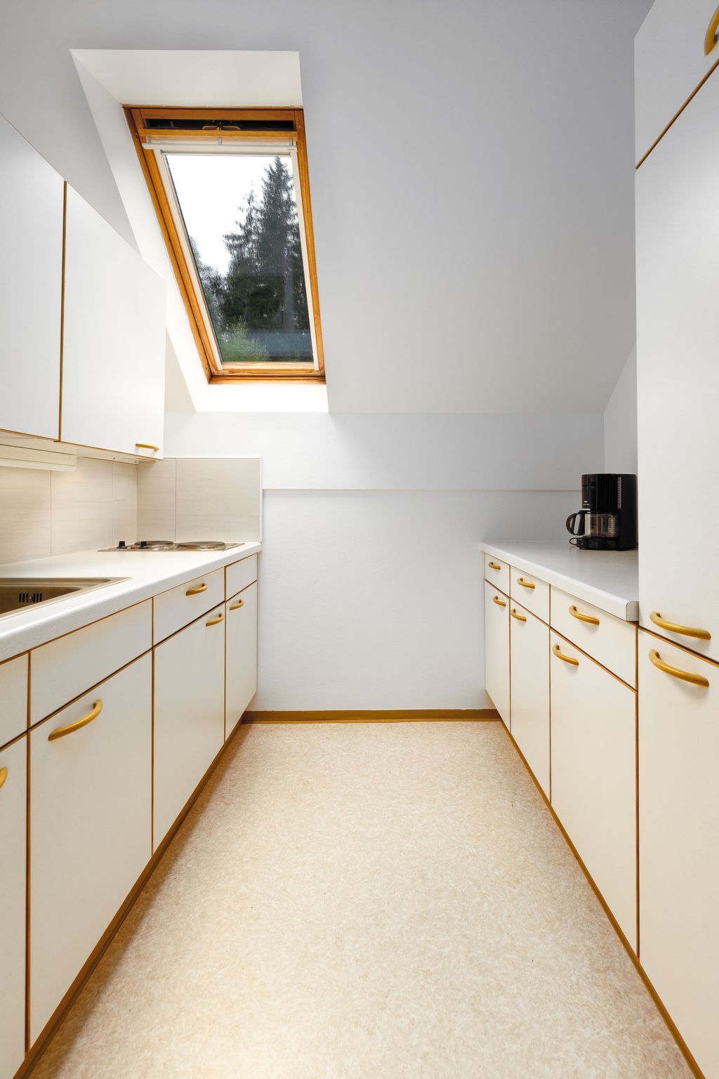 Erle in Feistritz im Rosental-Image-tags.info