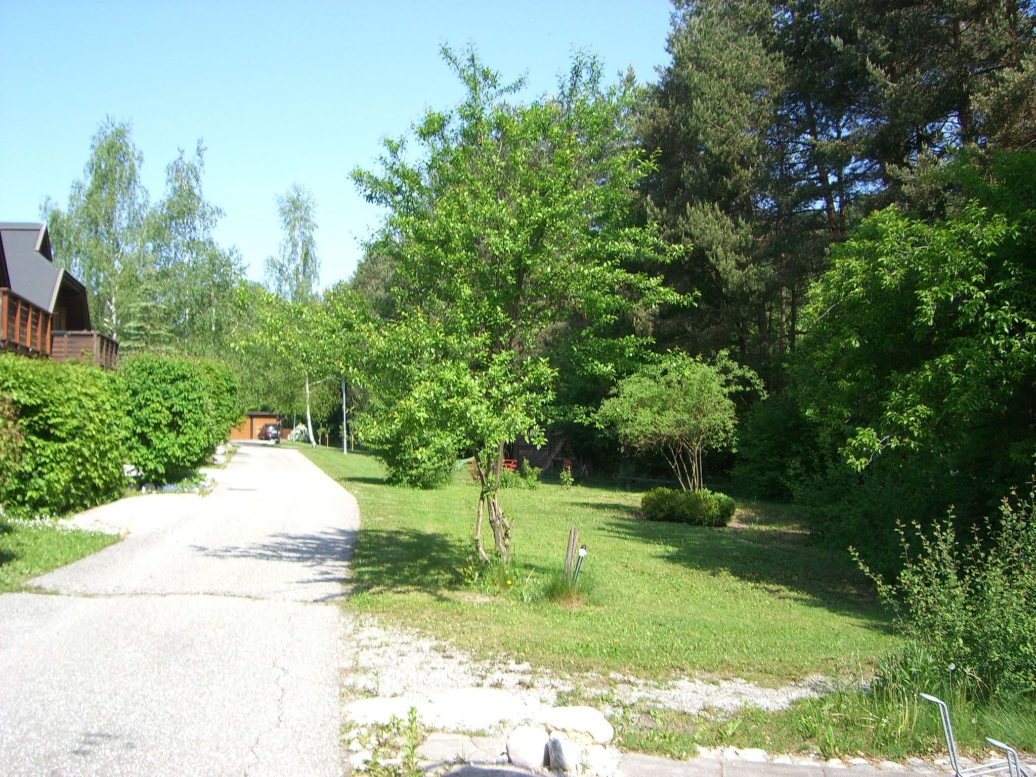 Erle in Feistritz im Rosental-Image-tags.info