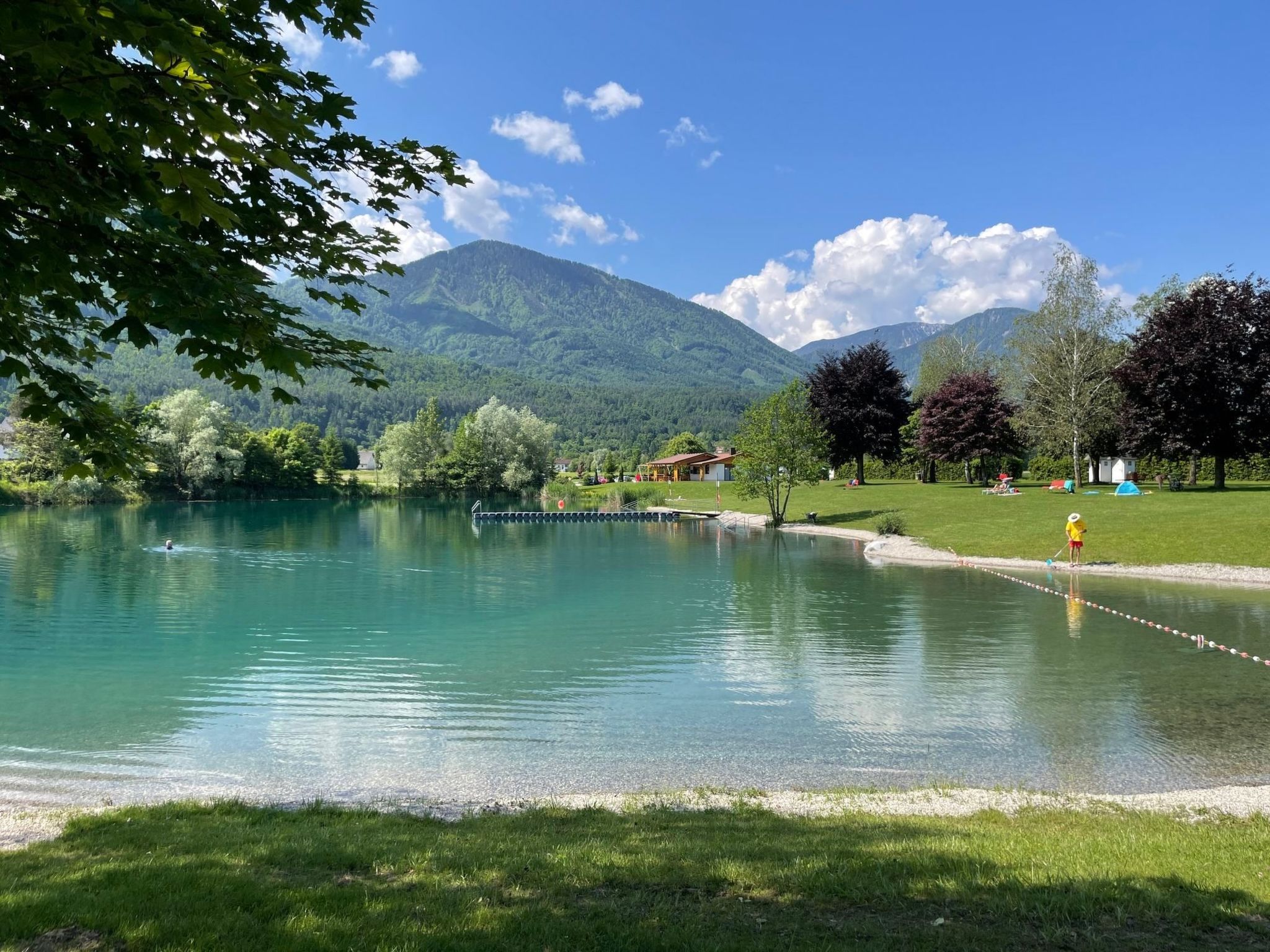 Erle in Feistritz im Rosental-Image-tags.info