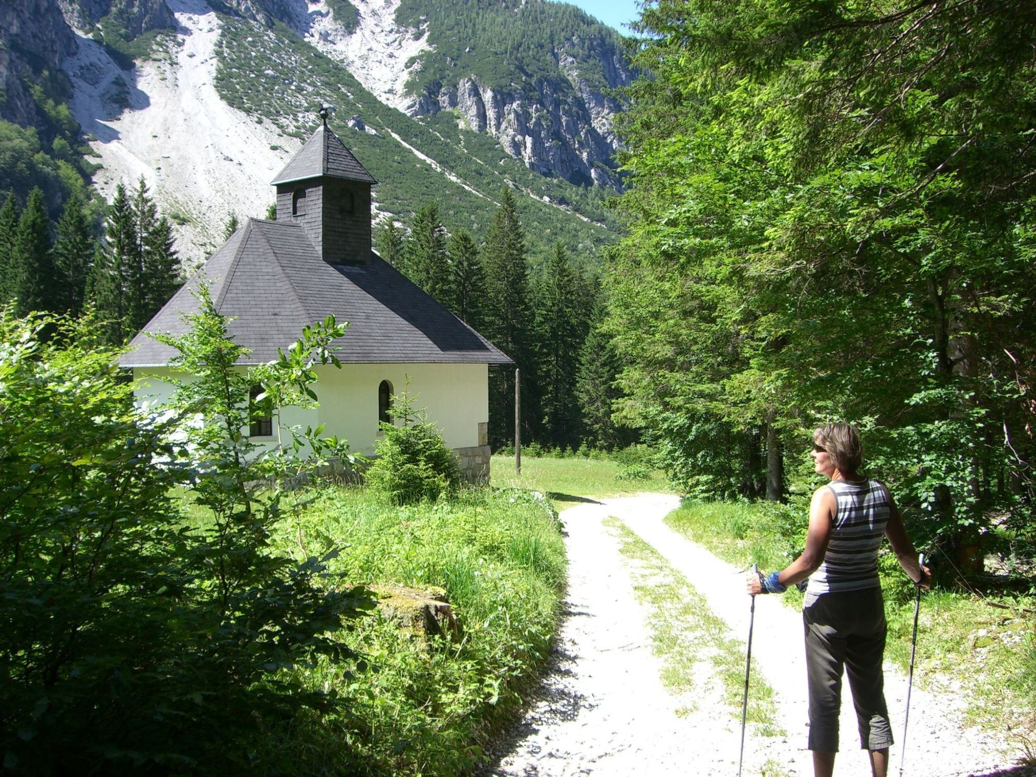 Esche-Image-tags.info