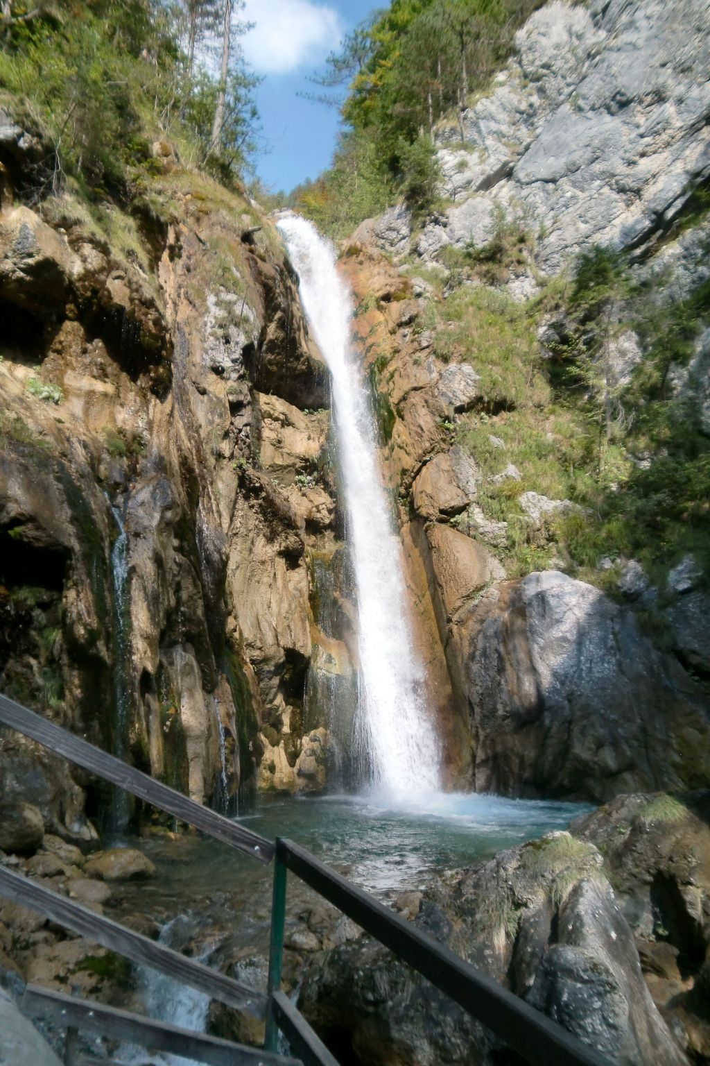 Esche-Image-tags.info