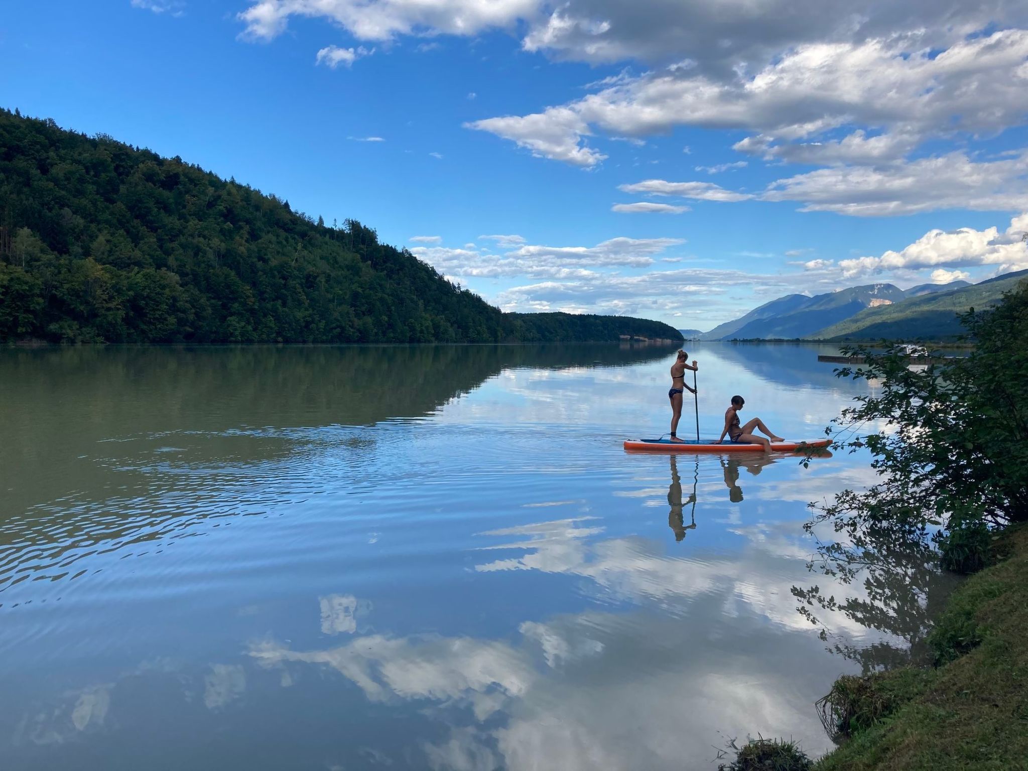 Buche-Image-tags.info