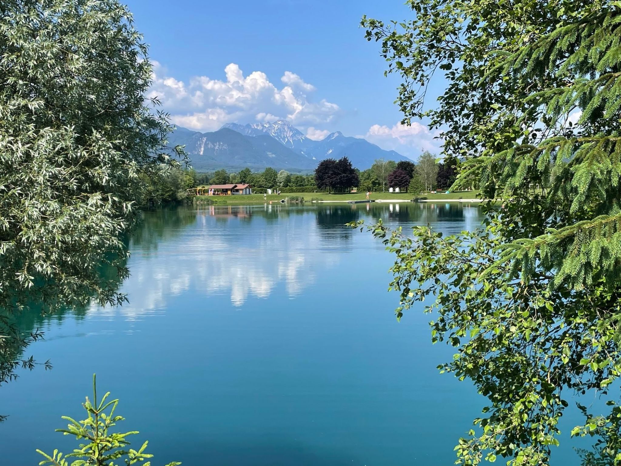 Buche-Image-tags.info