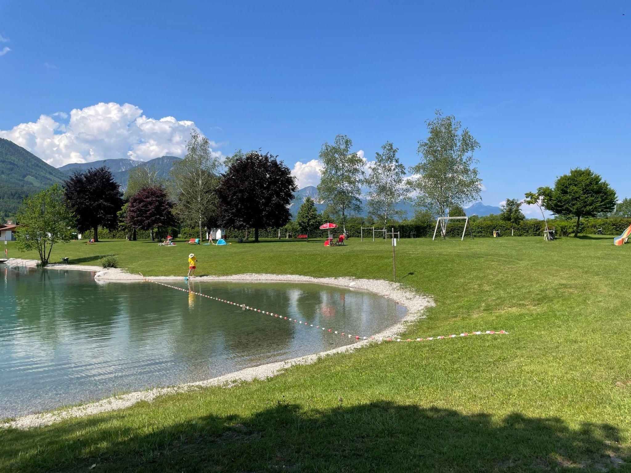 Buche-Image-tags.info