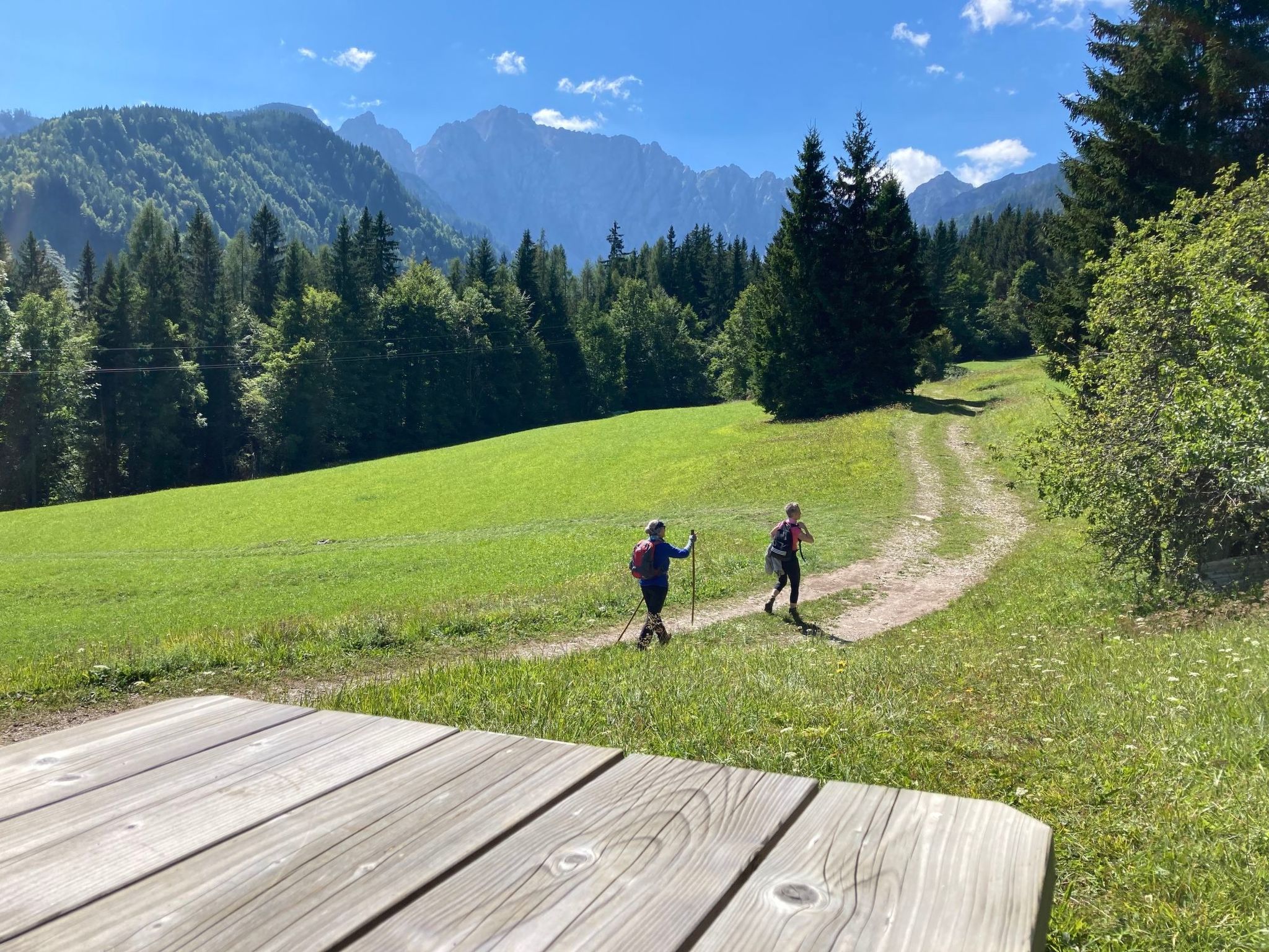 Buche-Image-tags.info