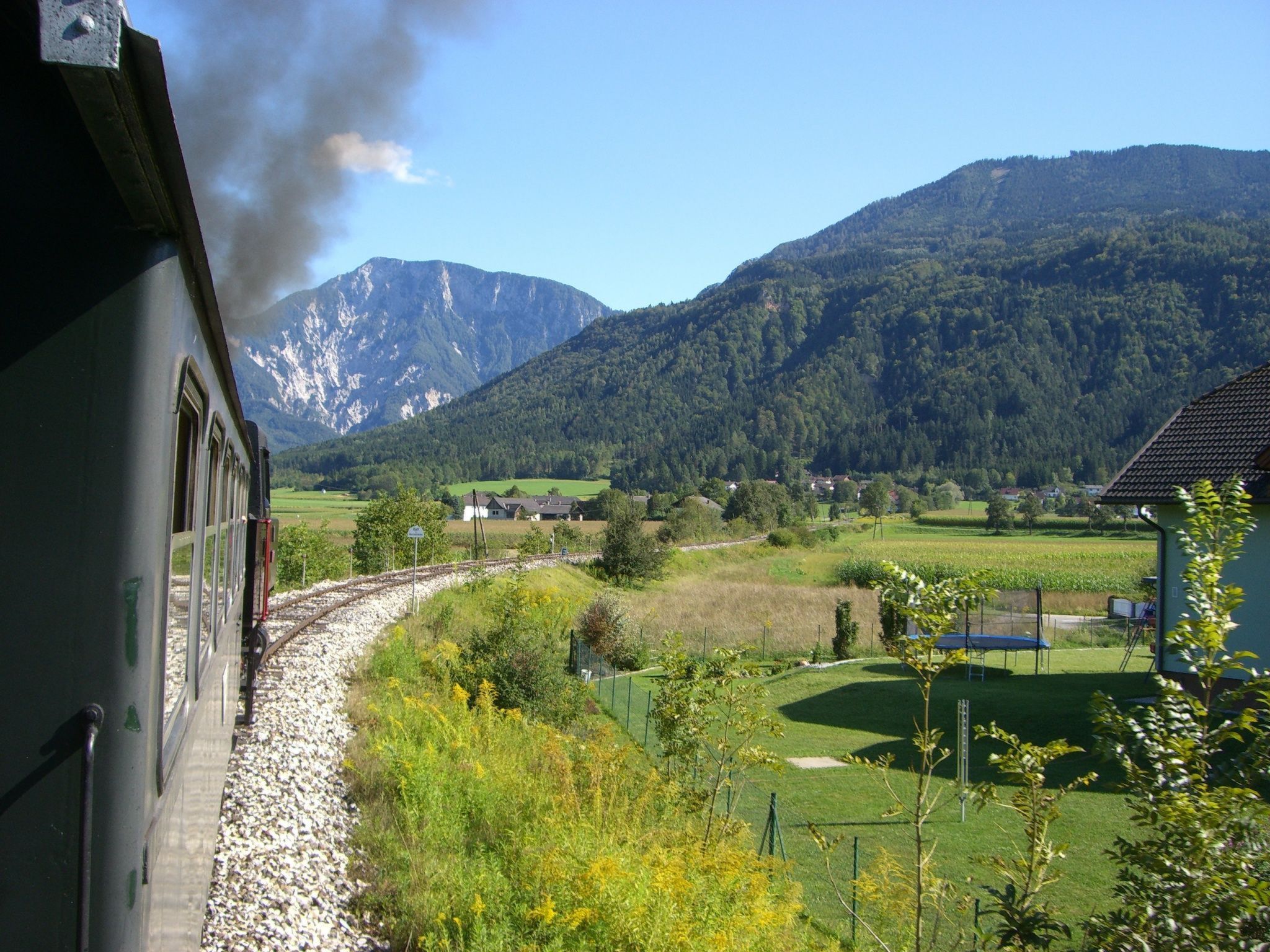 Ahorn-Image-tags.info