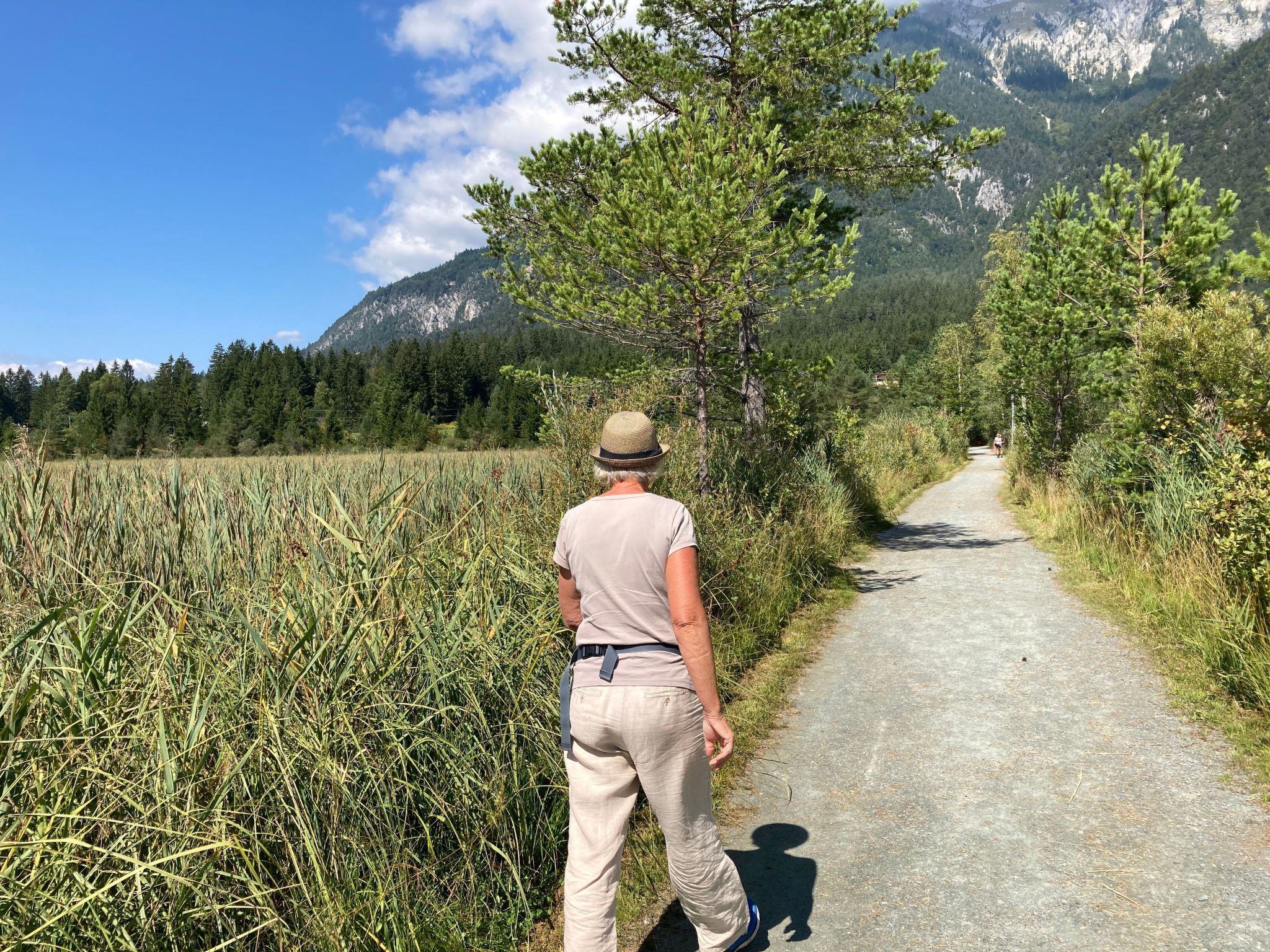 Ahorn-Image-tags.info