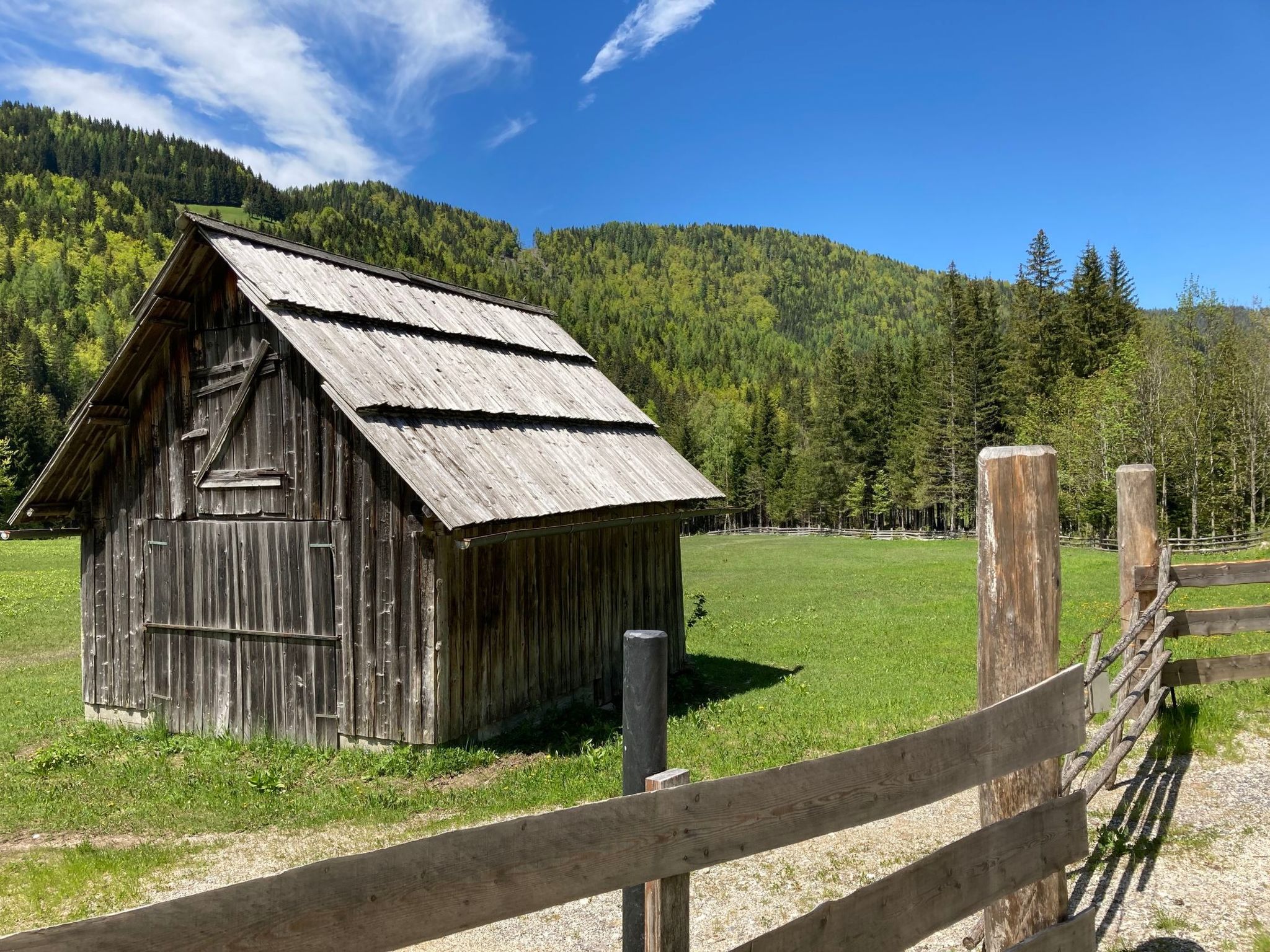 Ahorn-Image-tags.info