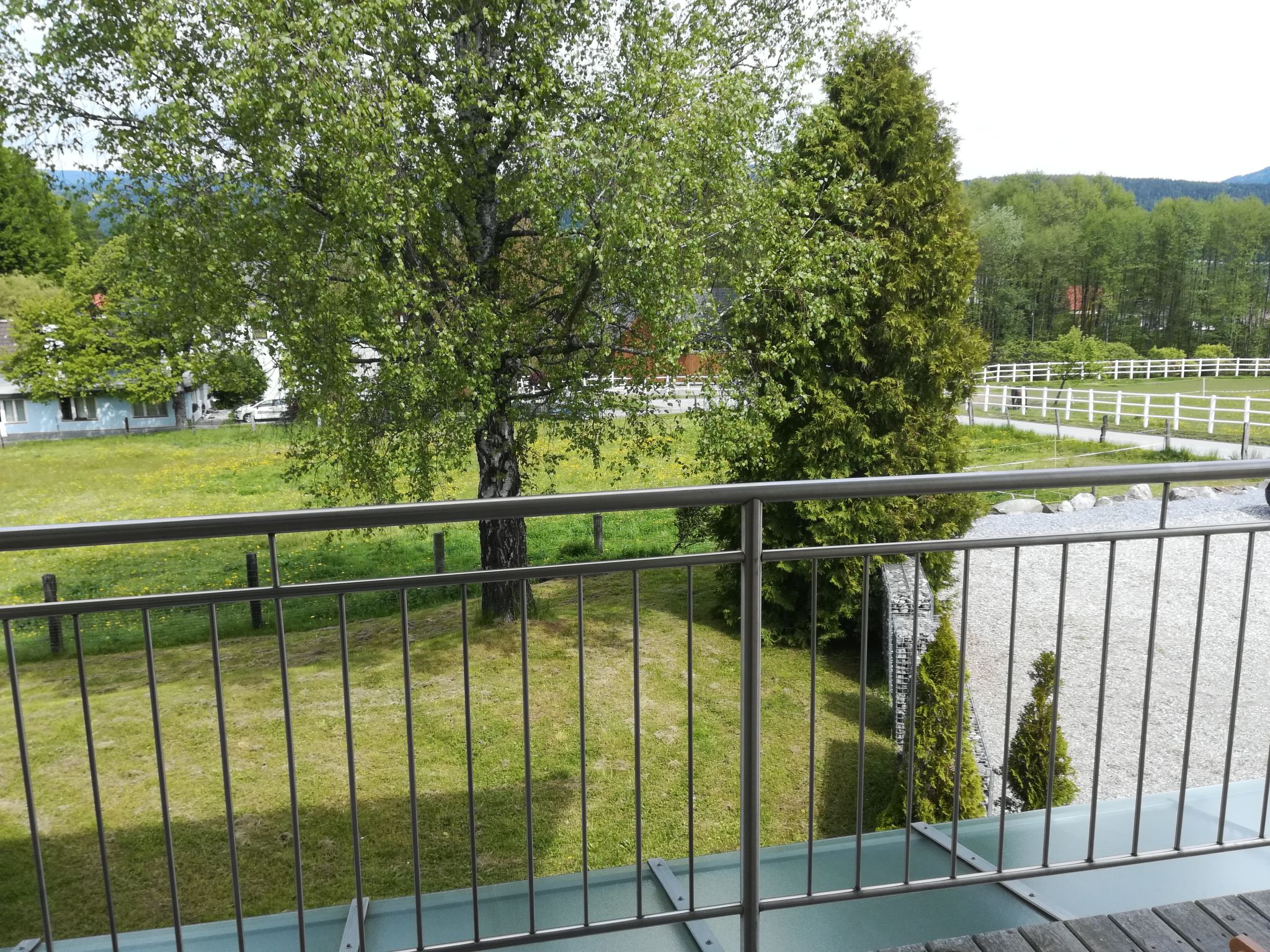 Photo of Löwenzahn