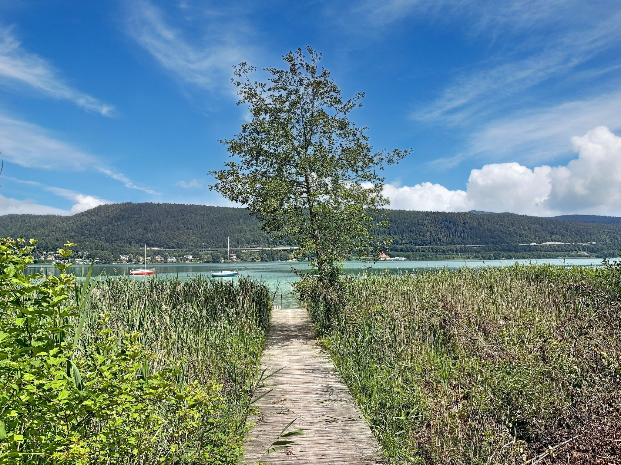 Photo of Ferienwohnung Seeblick 1