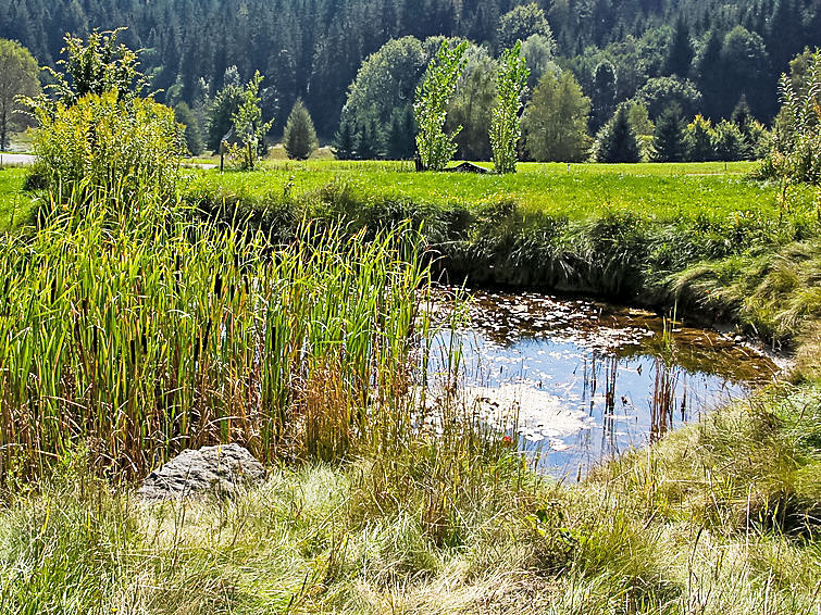 Carinthia - Slide 12