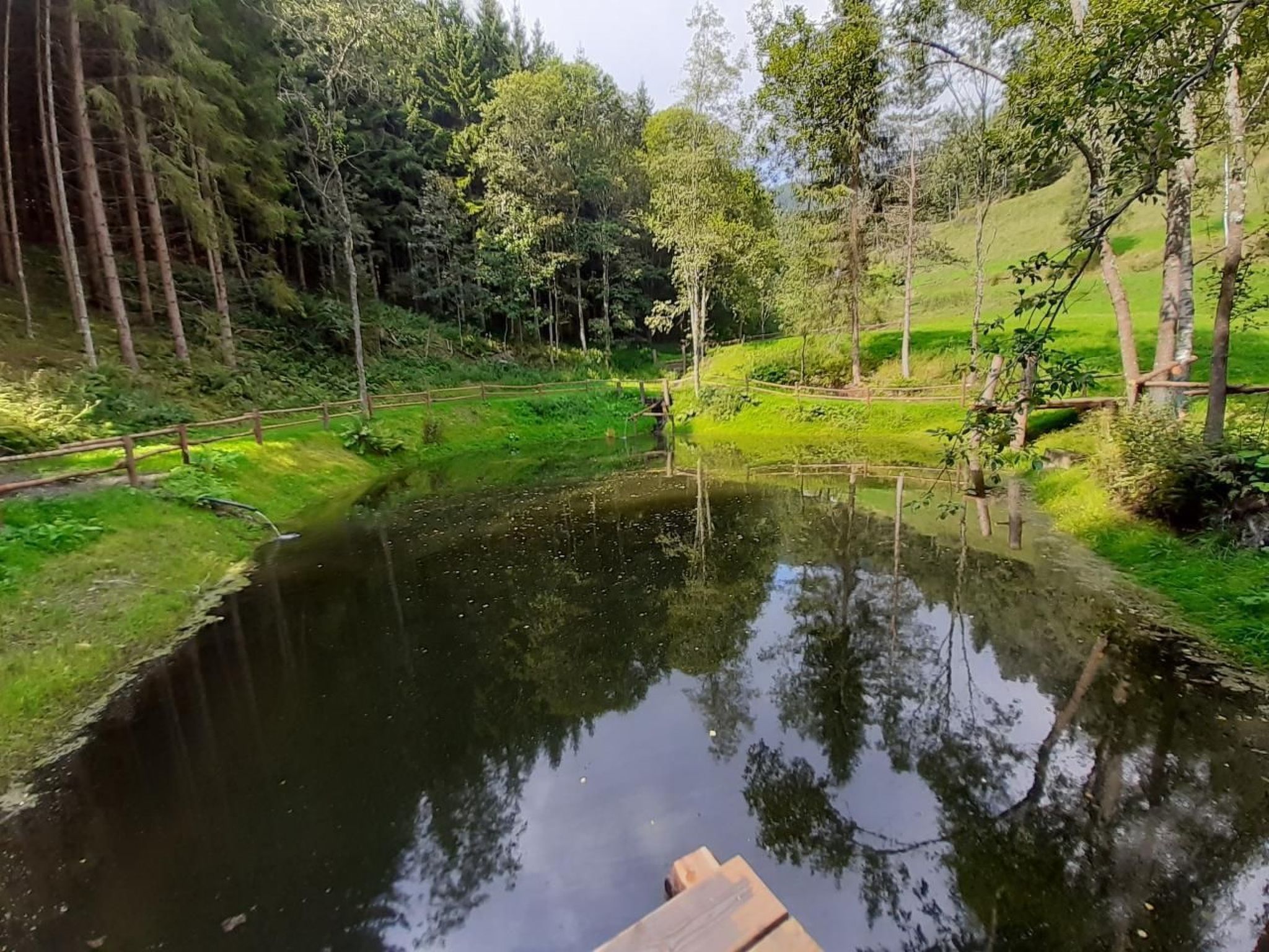 Teichhaus Simperle-Binnen