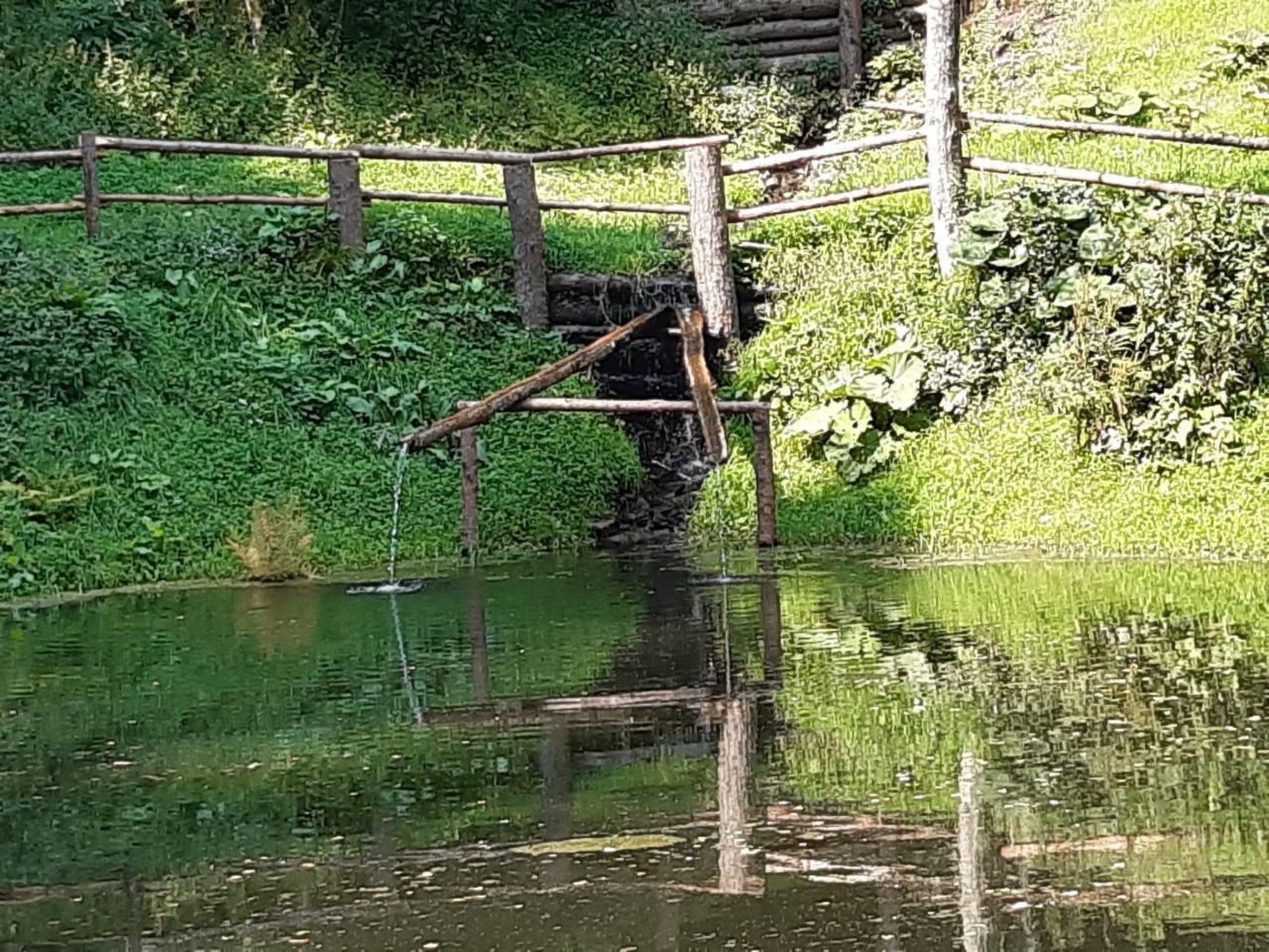 Teichhaus Simperle-Binnen