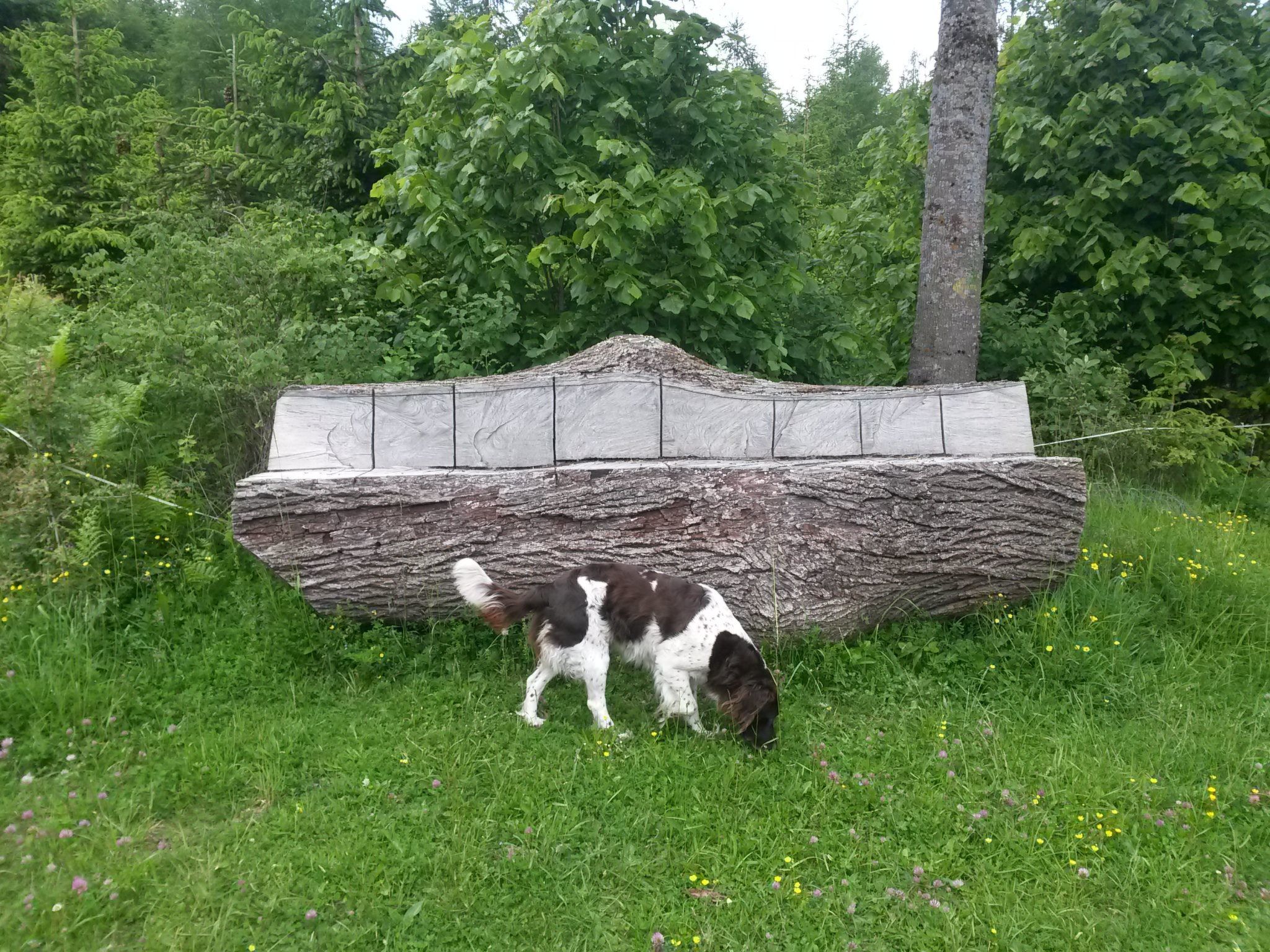 In Kliening mit Grill, Garten-Image-tags.info