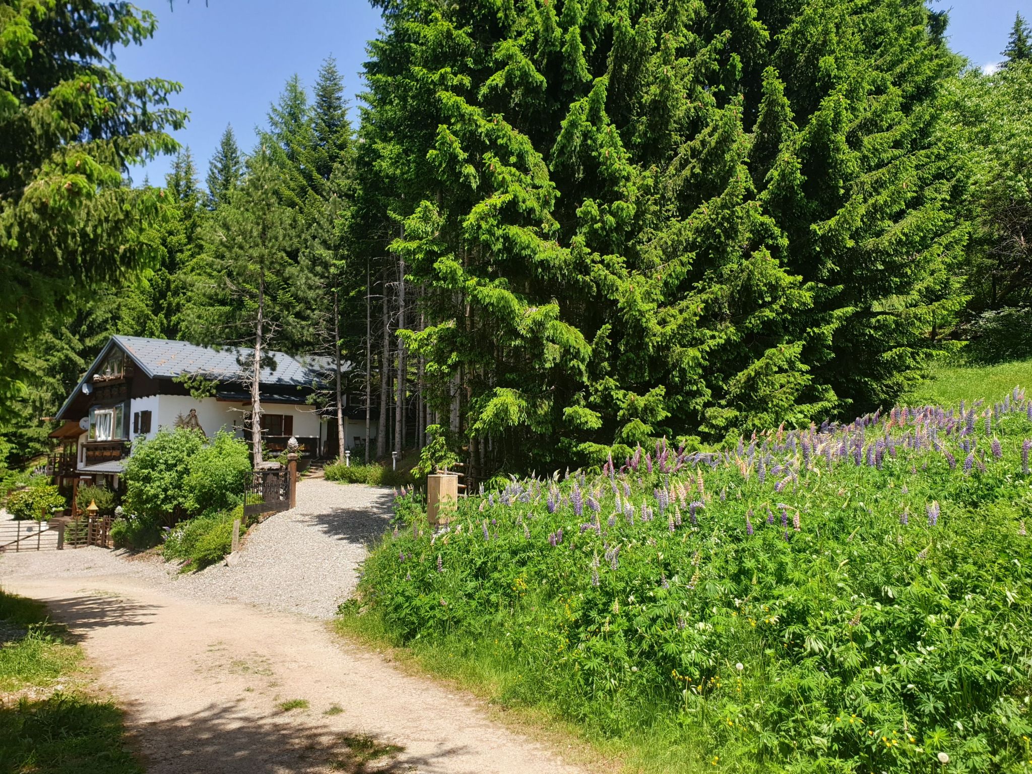 In Kliening mit Grill, Garten-Image-tags.info