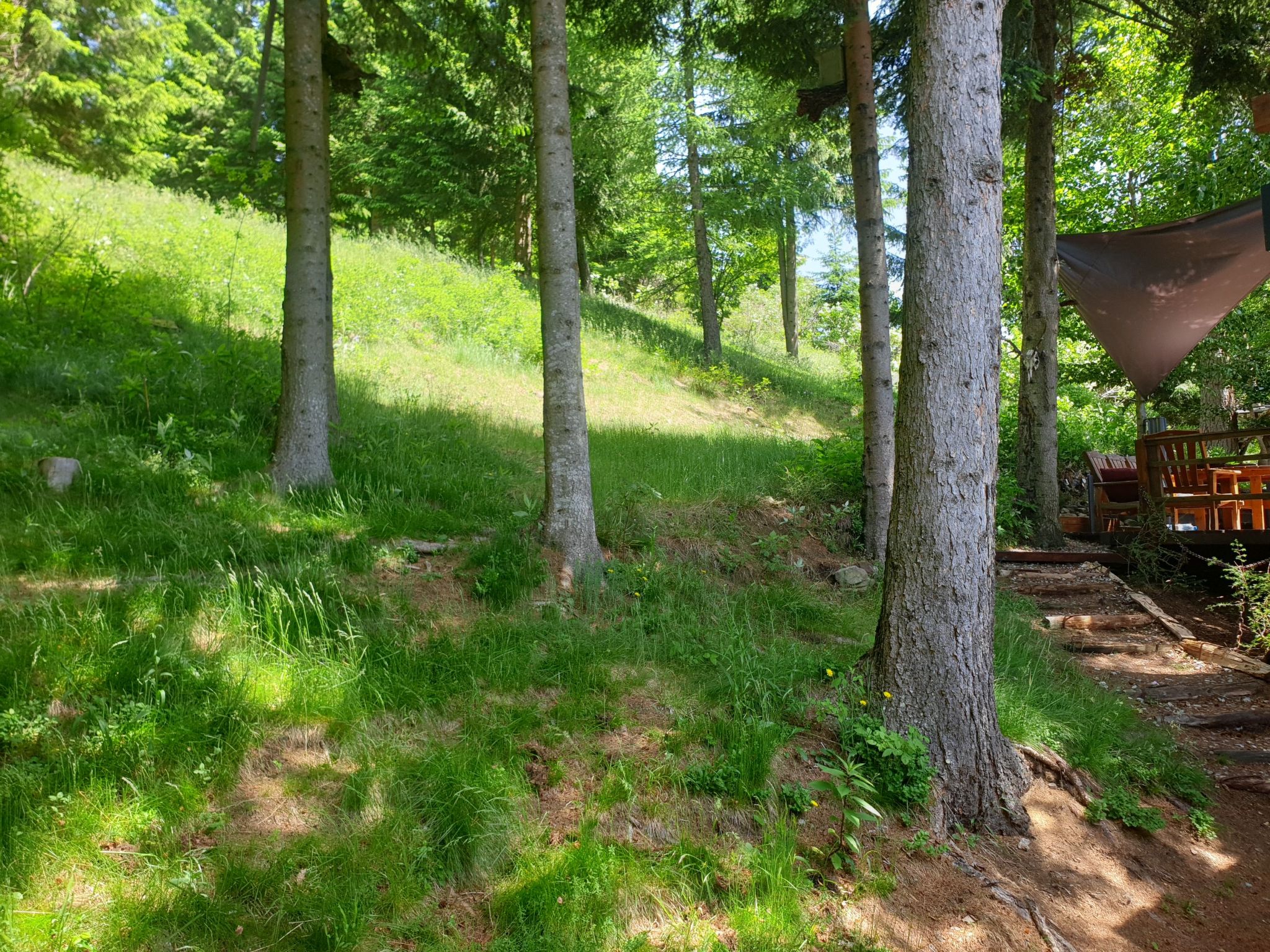 In Kliening mit Grill, Garten-Image-tags.info